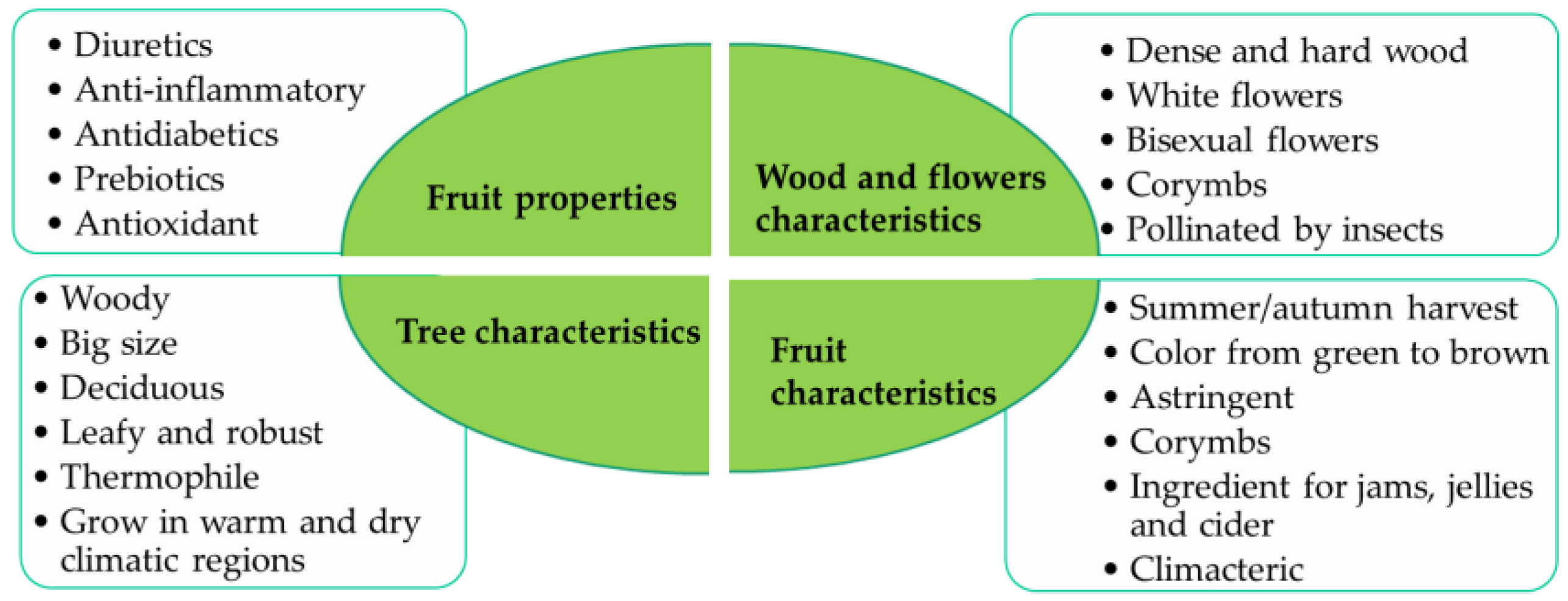 Molecules 29 04321 g001 Molecules 29 04321 g001