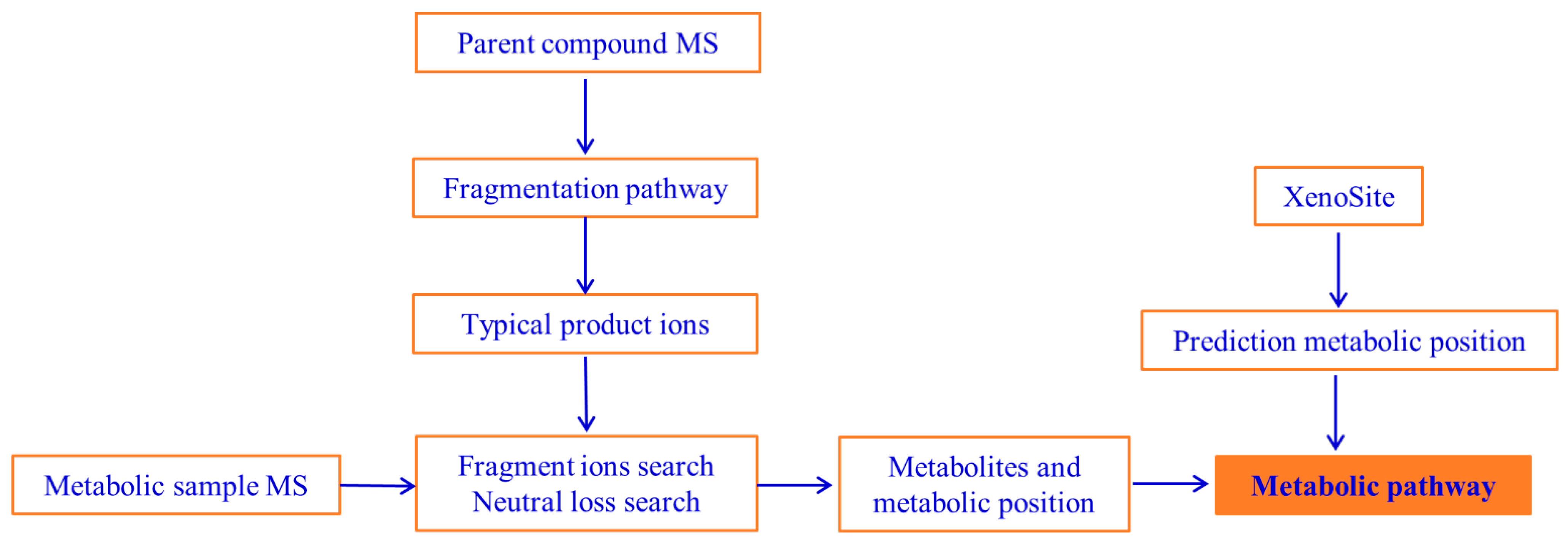 Molecules 29 04324 g002
