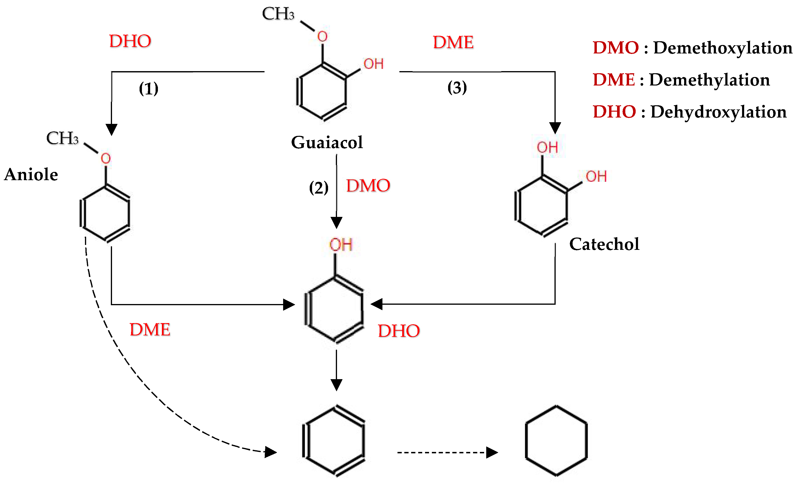 Molecules 29 04325 g011