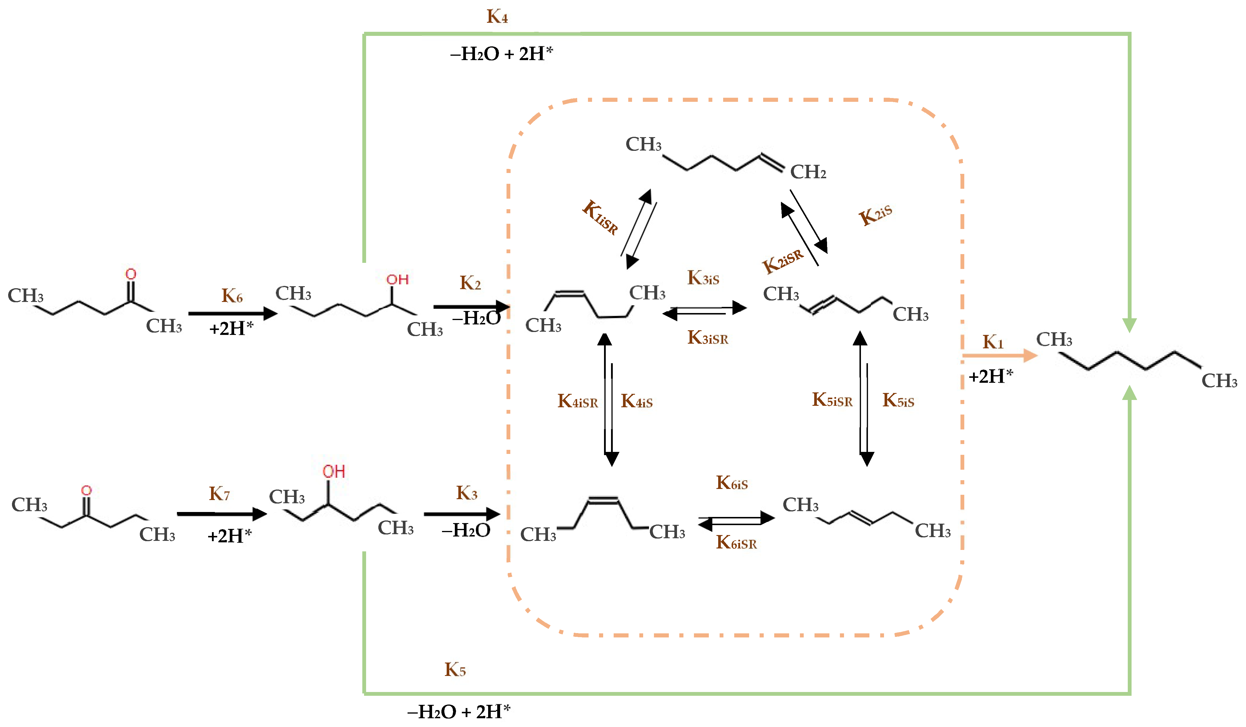 Molecules 29 04325 g014