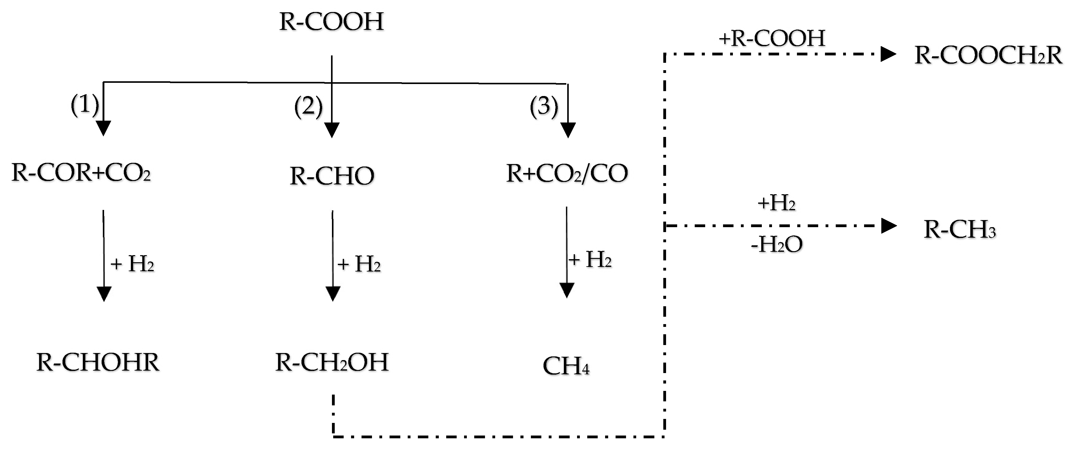Molecules 29 04325 g015