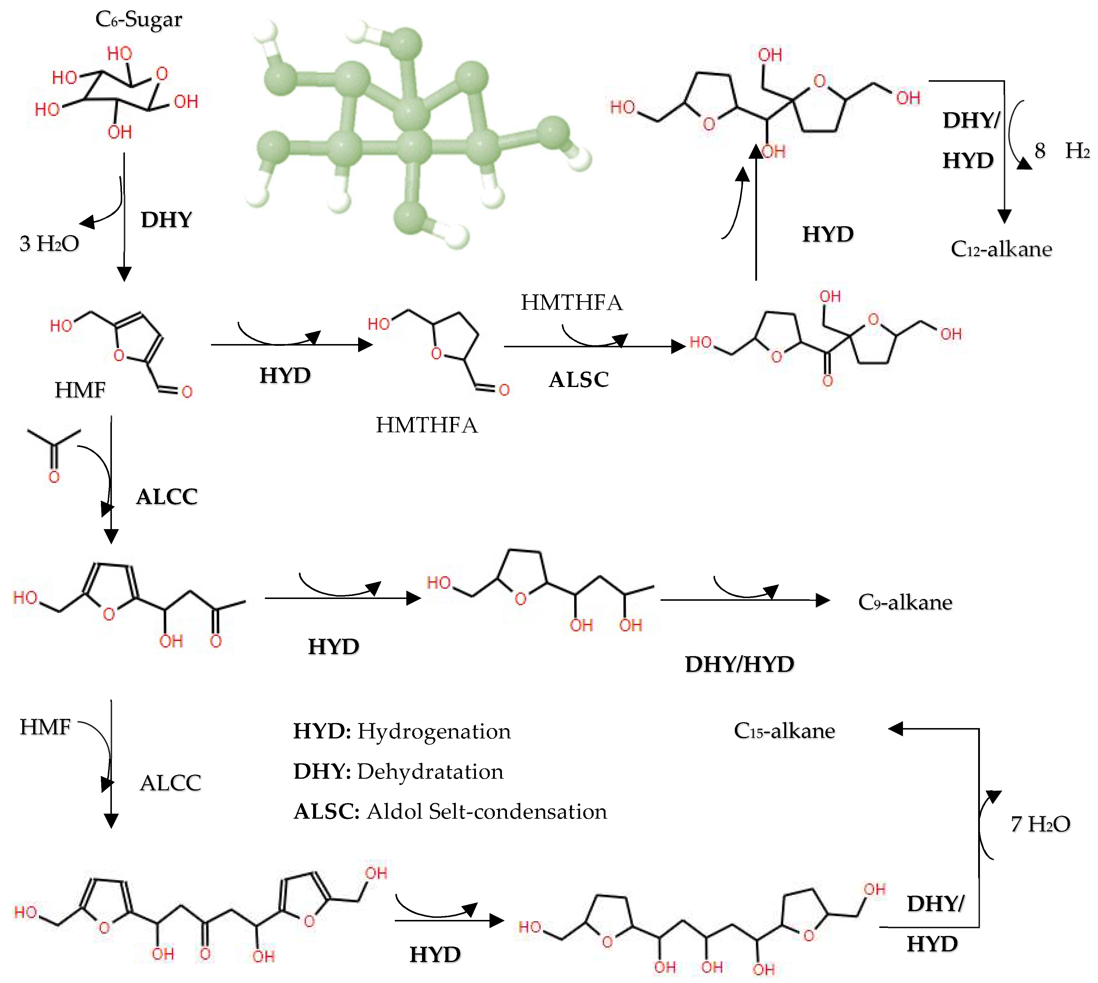 Molecules 29 04325 g017