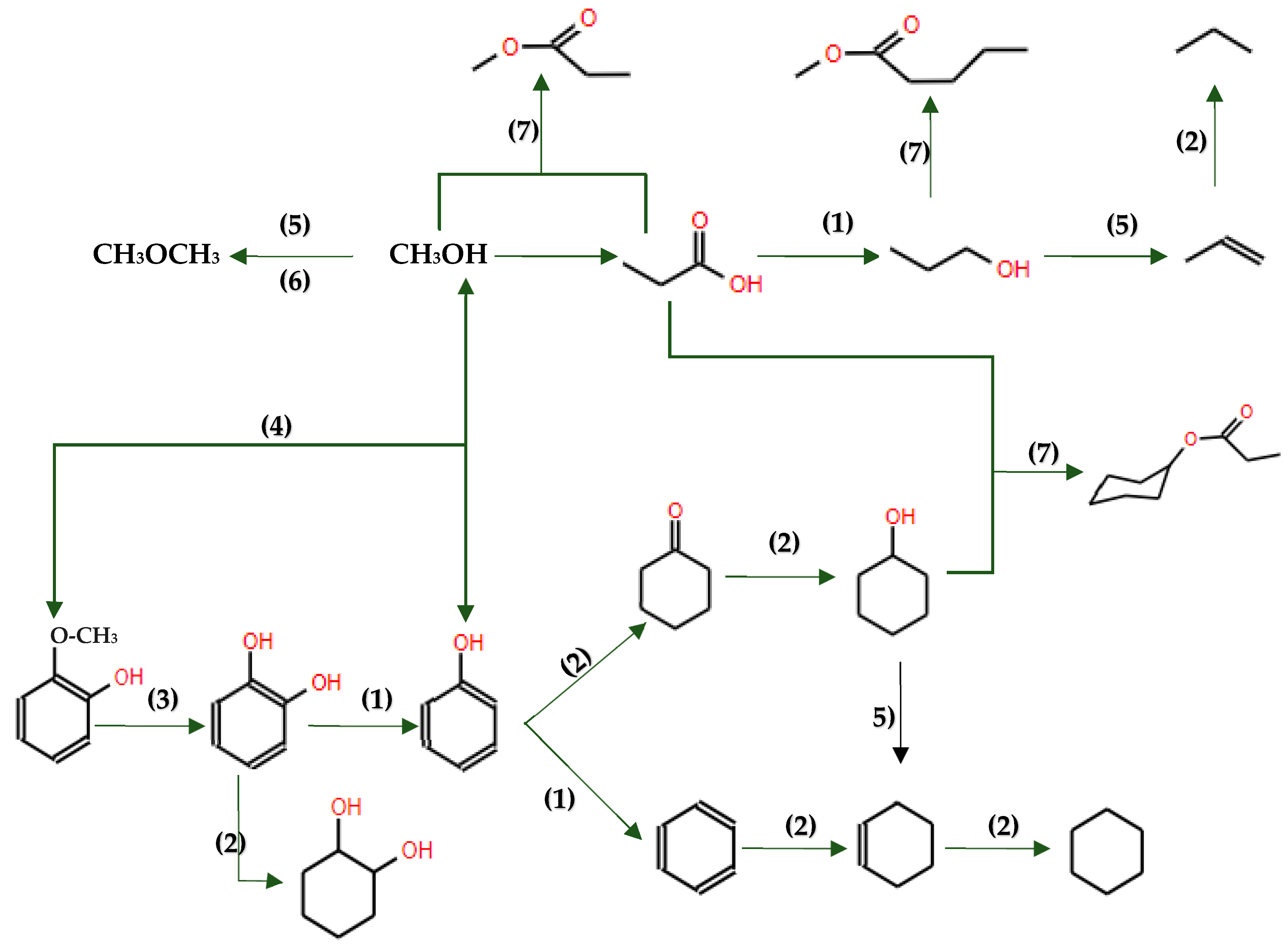 Molecules 29 04325 g020