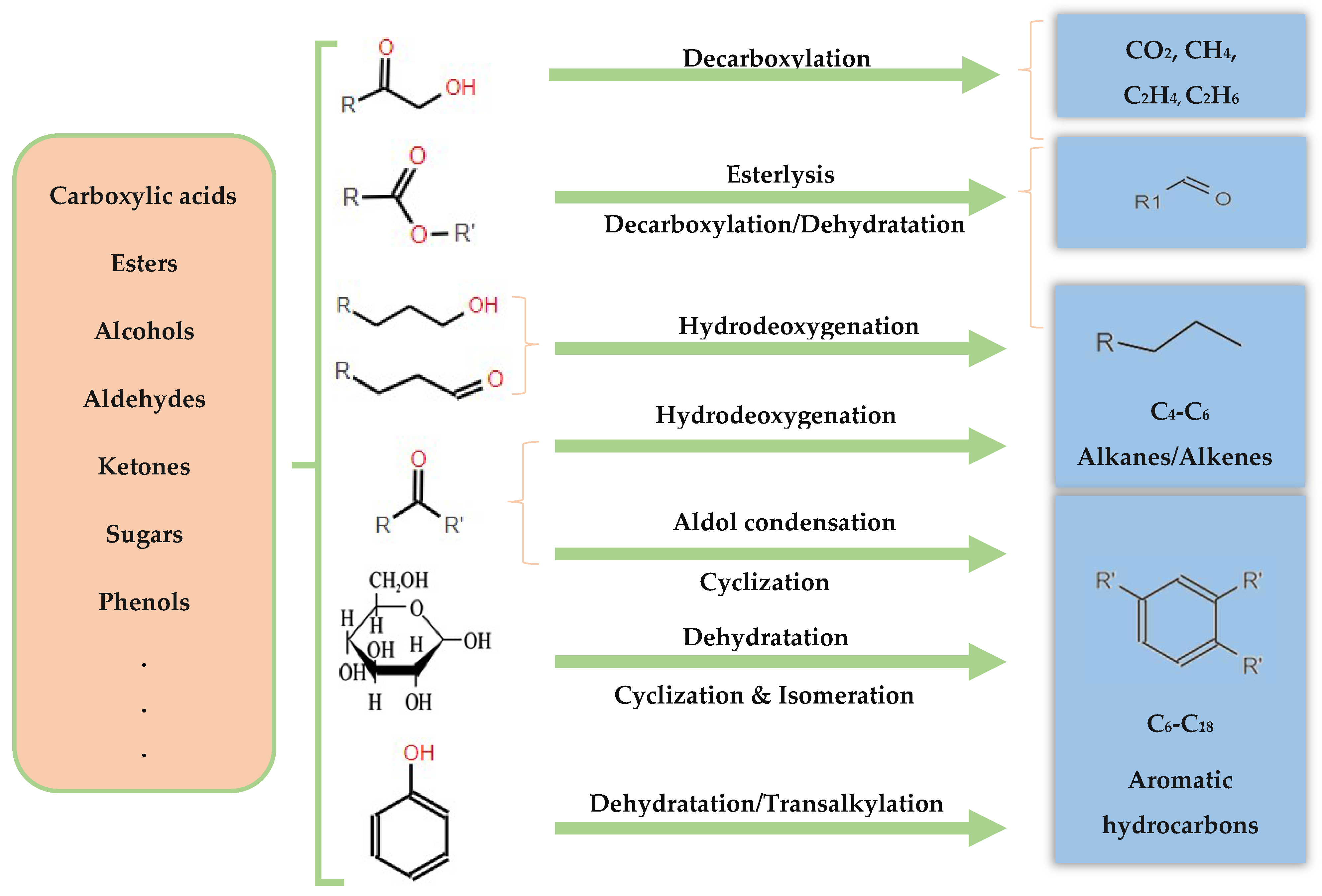 Molecules 29 04325 g023