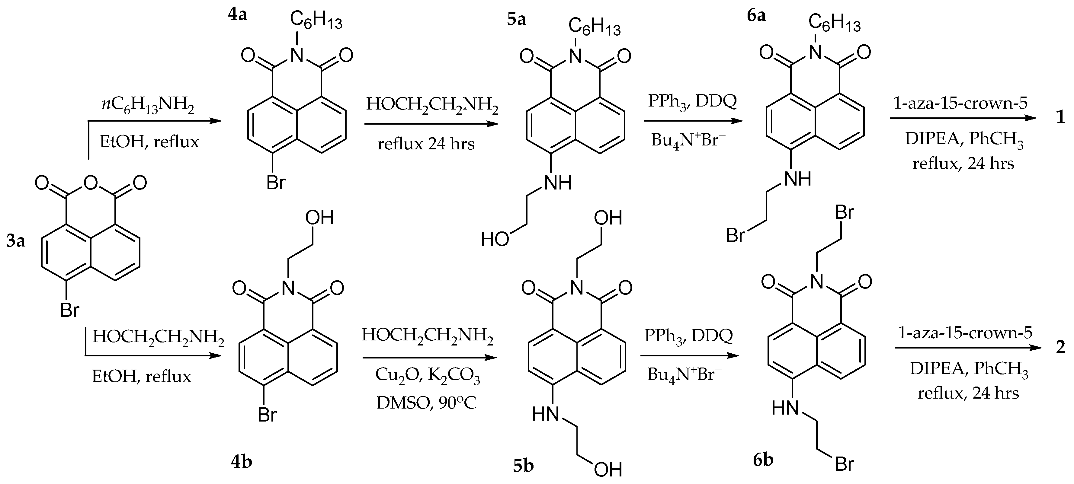 Molecules 29 04330 g007