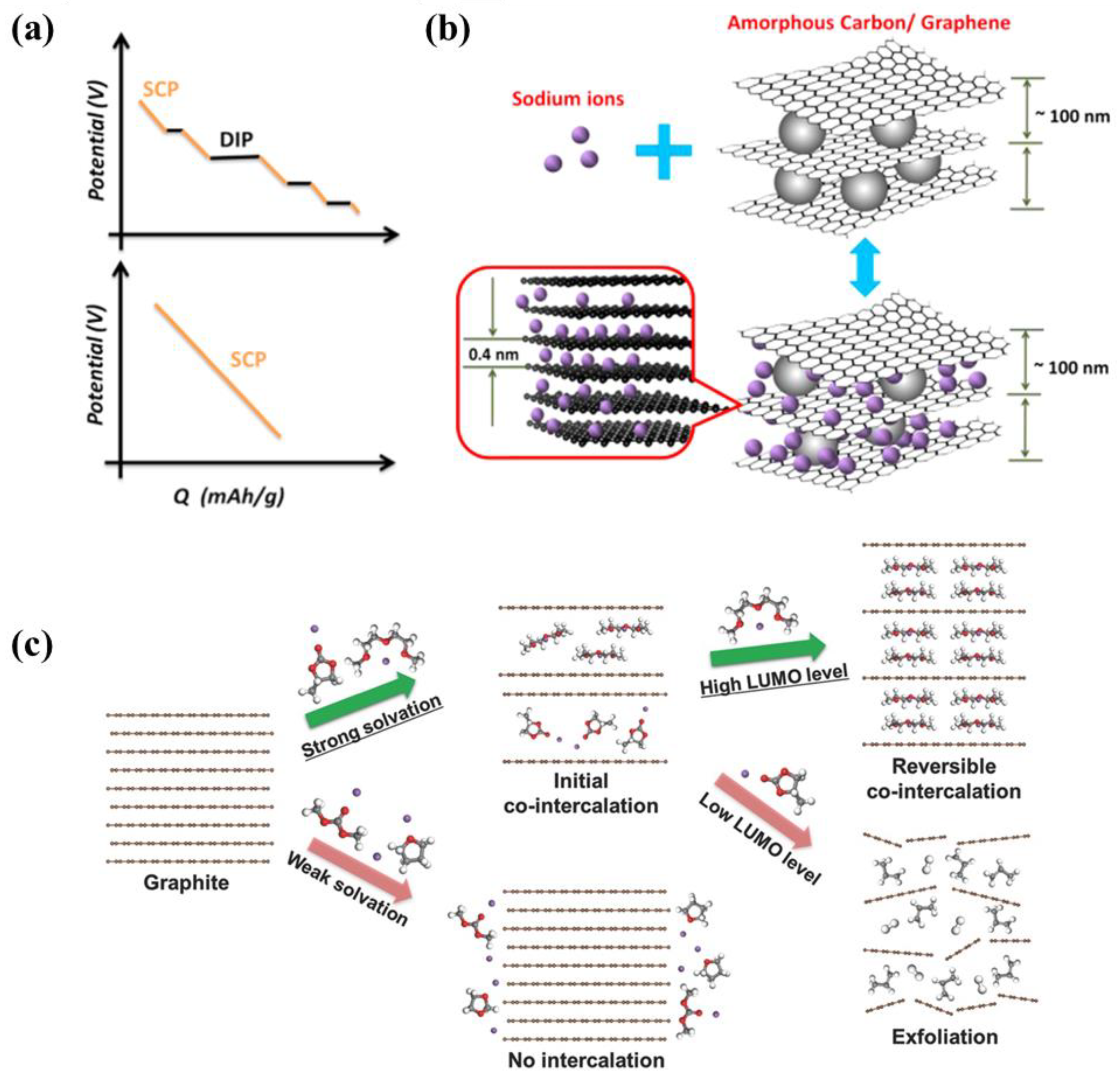 Molecules 29 04331 g013