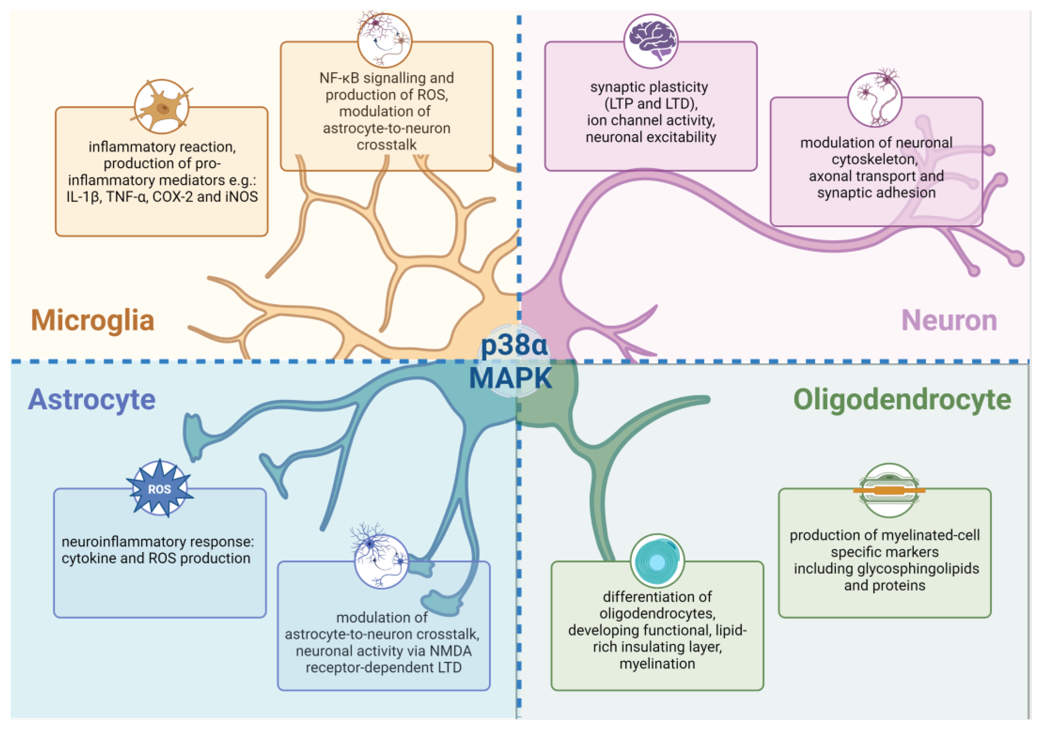 Molecules 29 04354 g002 Molecules 29 04354 g002