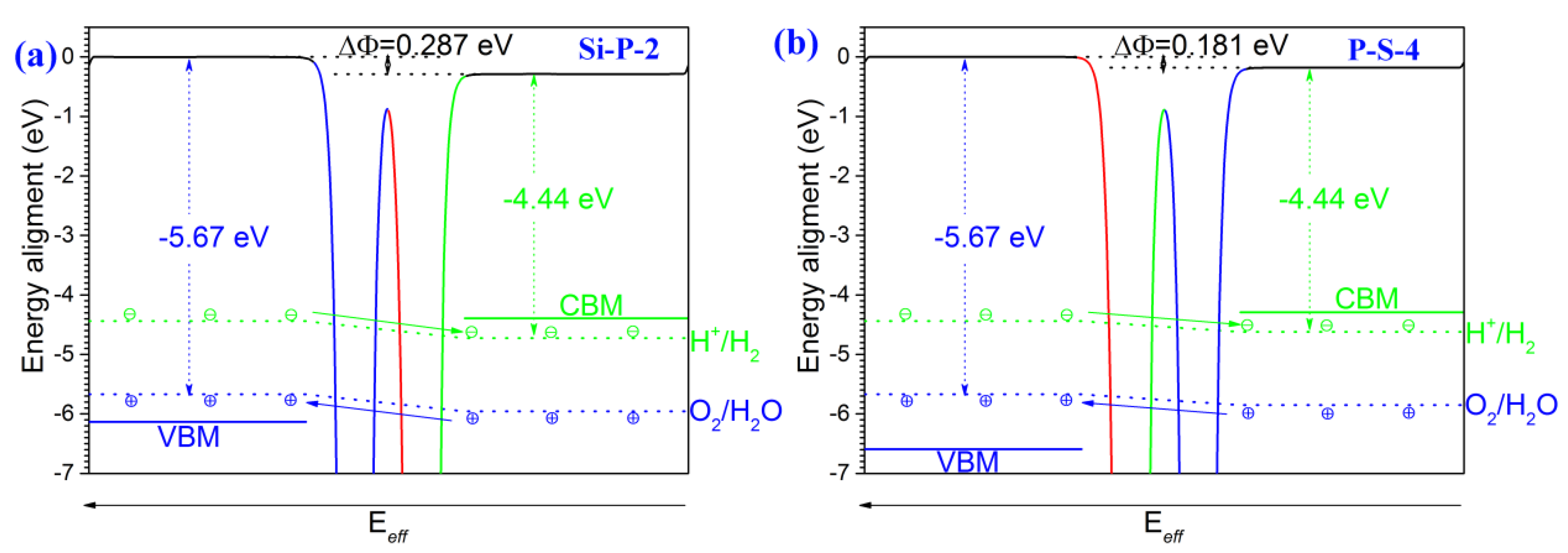 Molecules 29 04355 g005