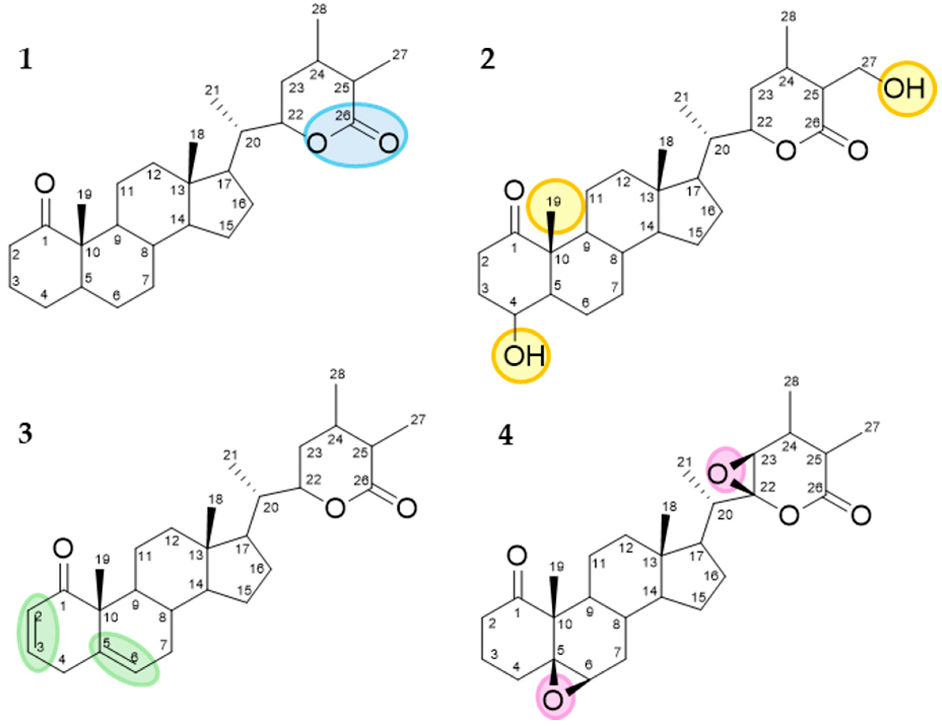 Molecules 29 04357 g010
