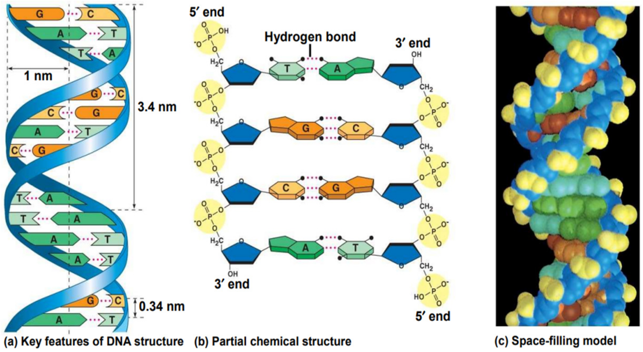 Molecules 29 04361 g003 Molecules 29 04361 g003