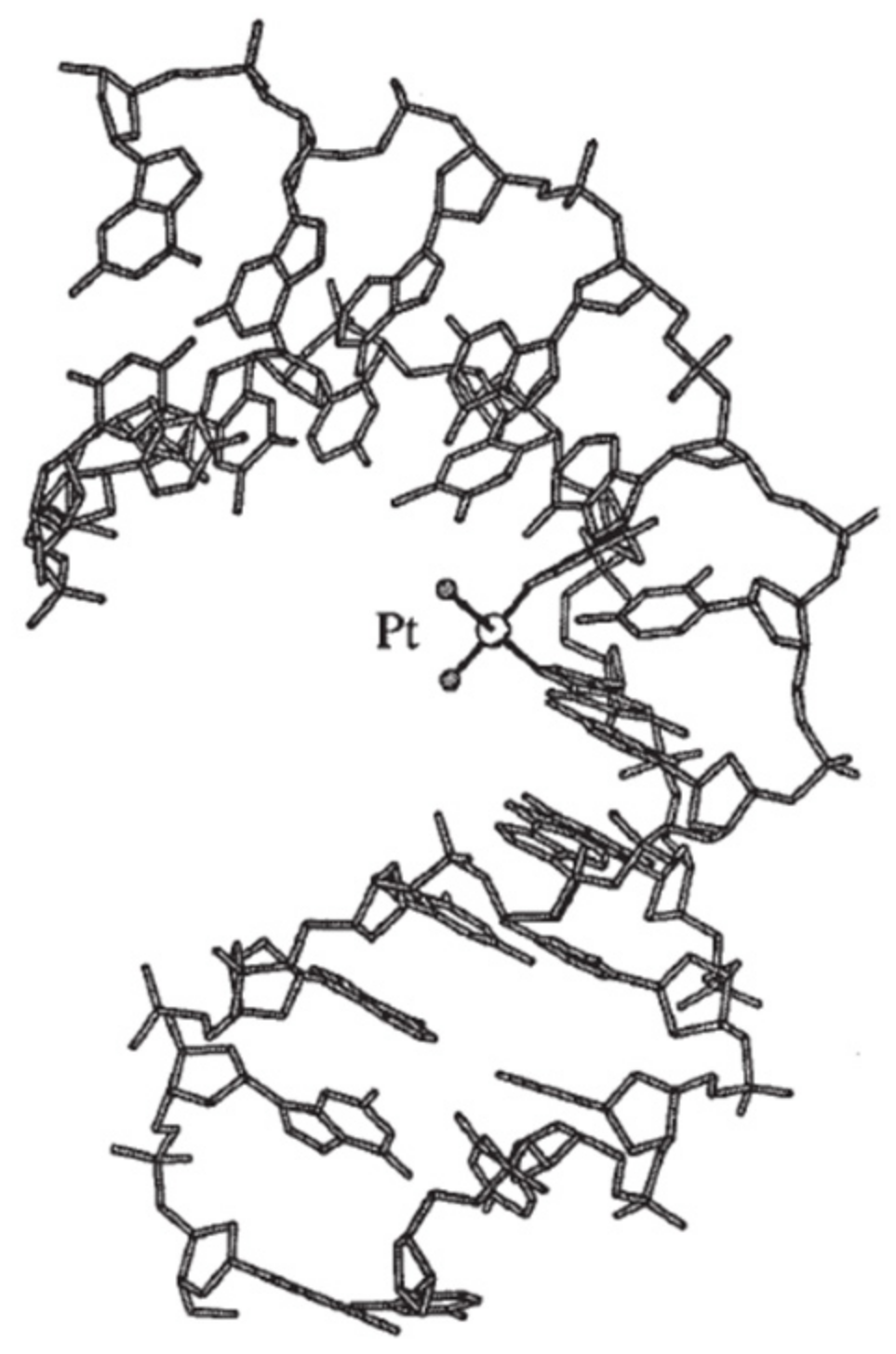 Molecules 29 04361 g007 Molecules 29 04361 g007