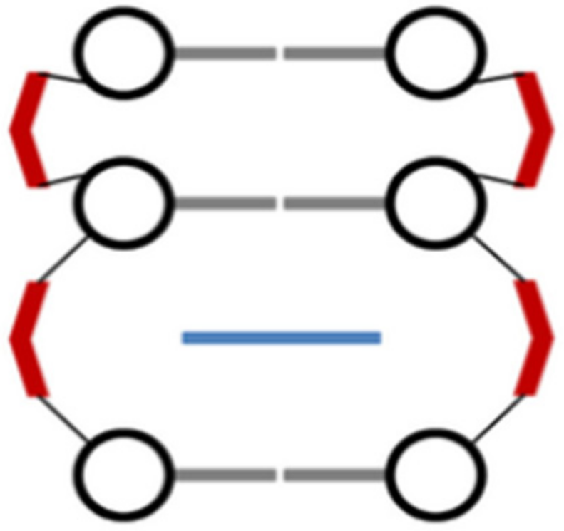 Molecules 29 04361 g008 Molecules 29 04361 g008