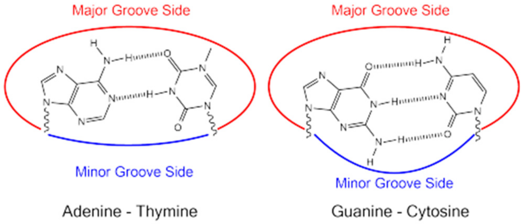 Molecules 29 04361 g010 Molecules 29 04361 g010