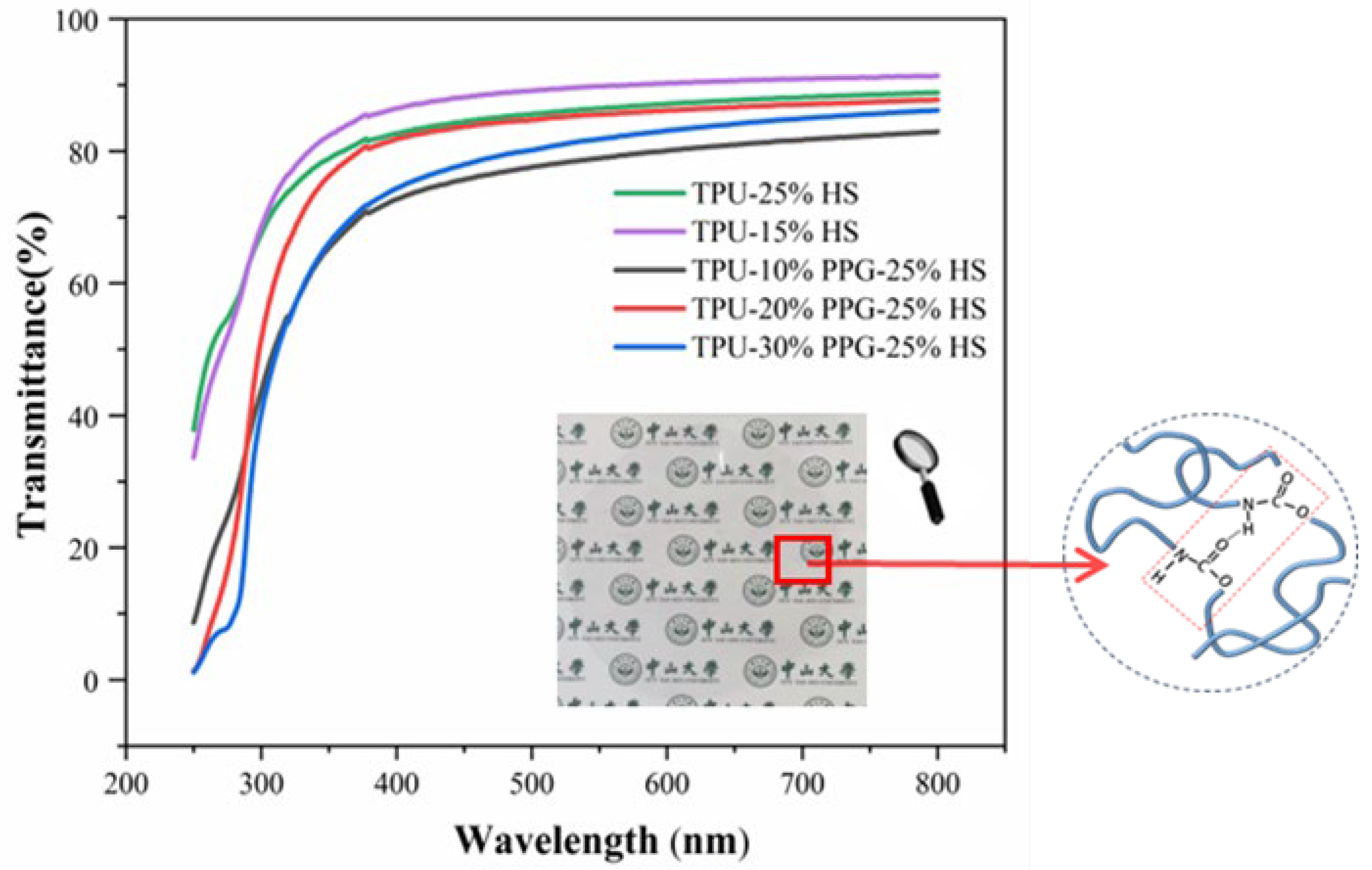 Molecules 29 04364 g001