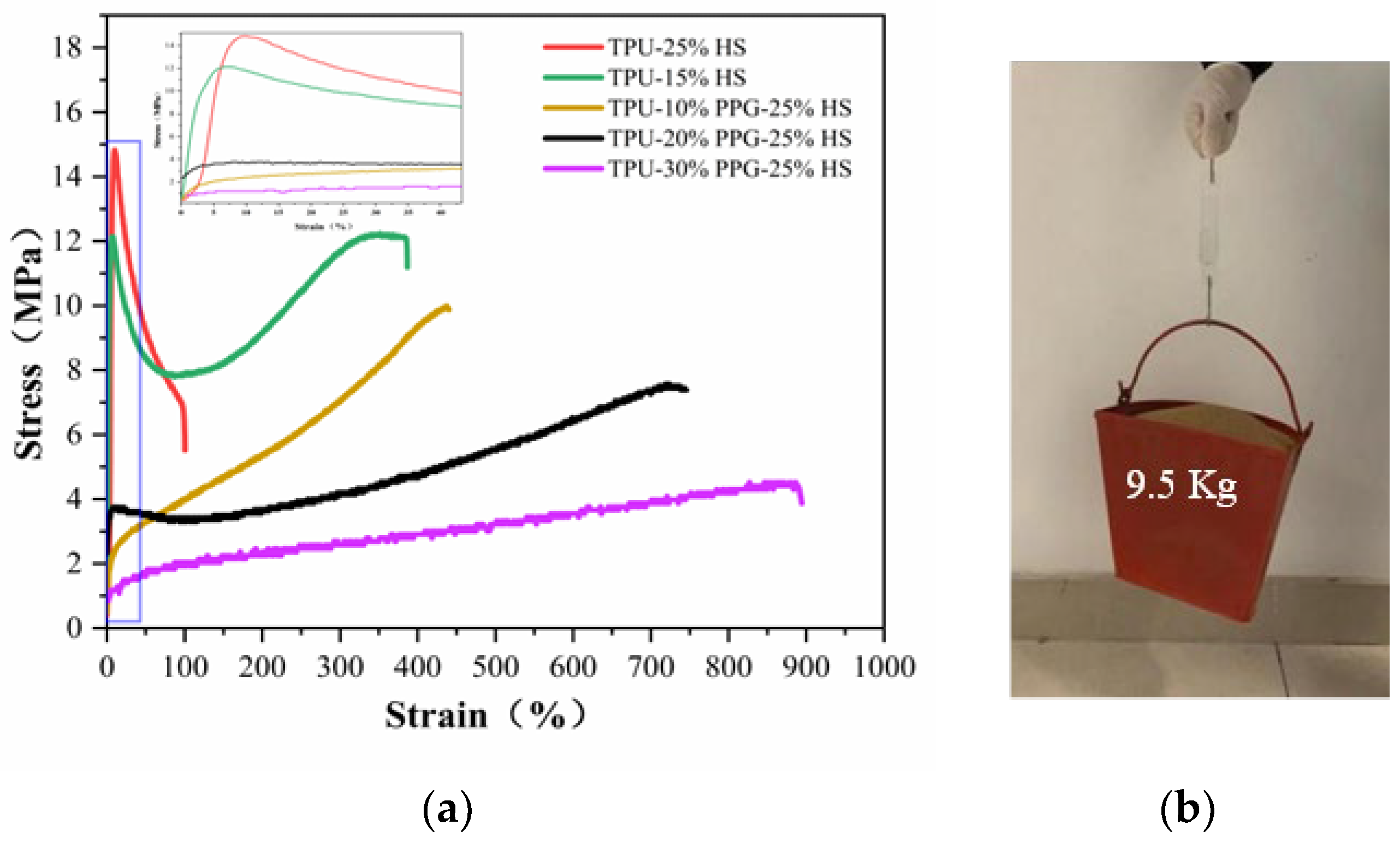 Molecules 29 04364 g005