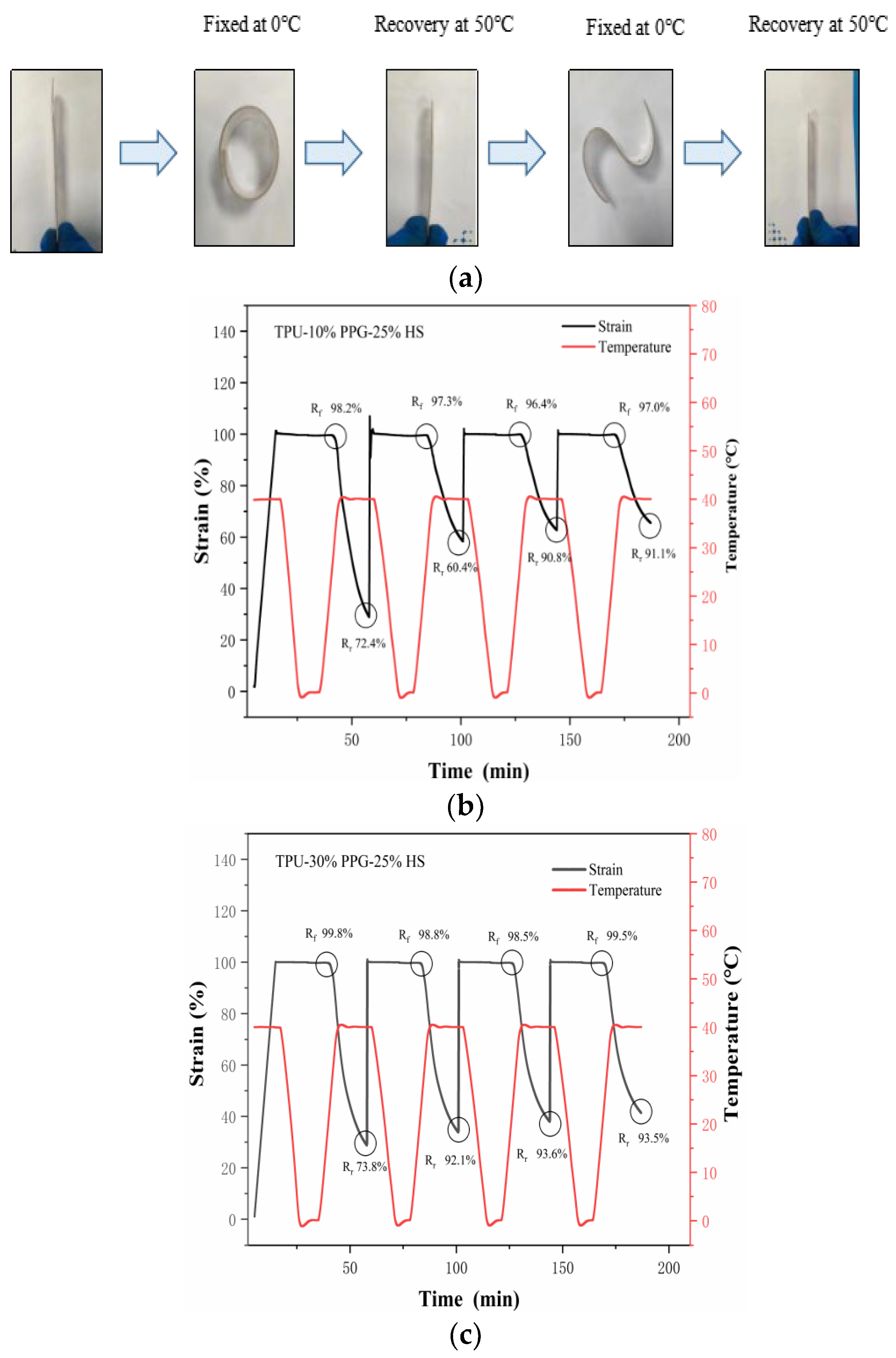 Molecules 29 04364 g006