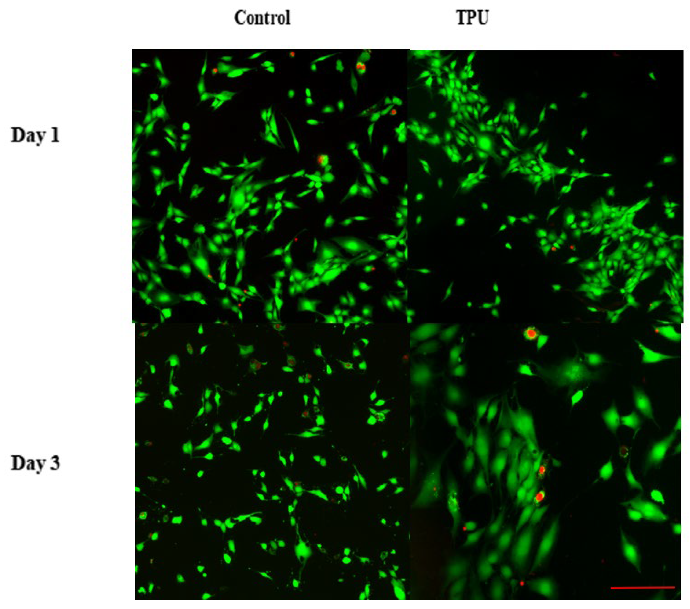 Molecules 29 04364 g008