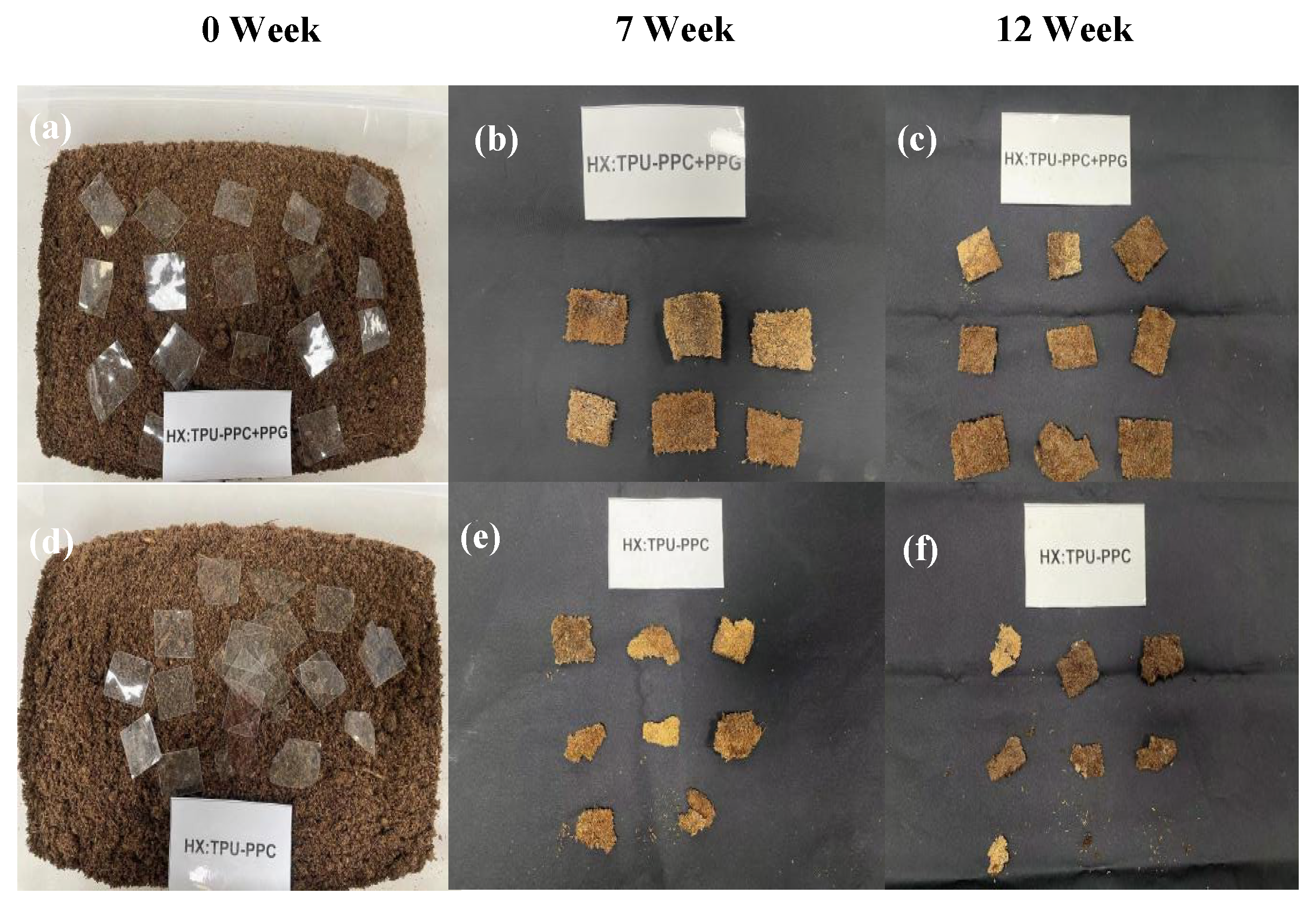 Molecules 29 04364 g010