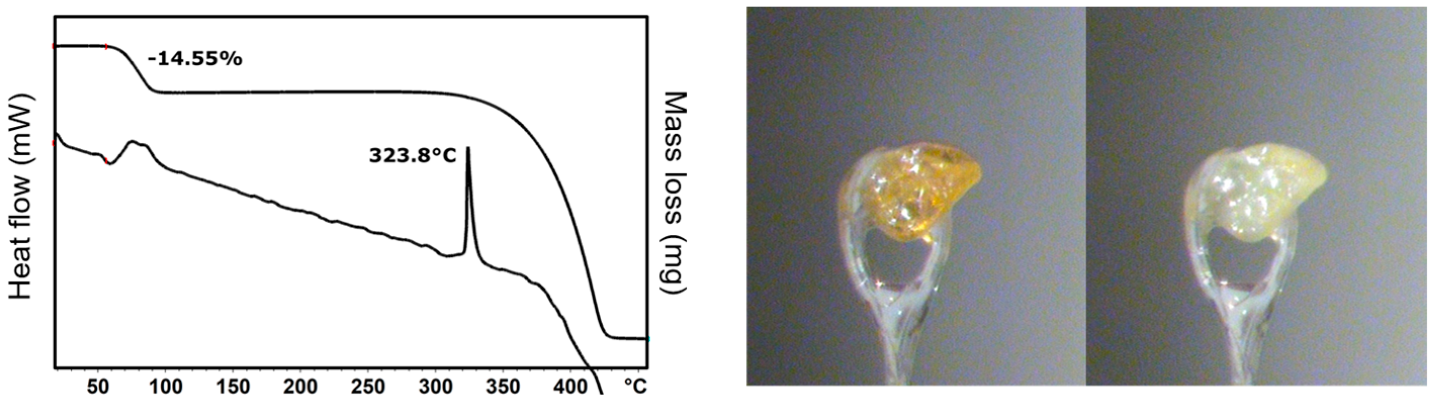 Molecules 29 04376 g005