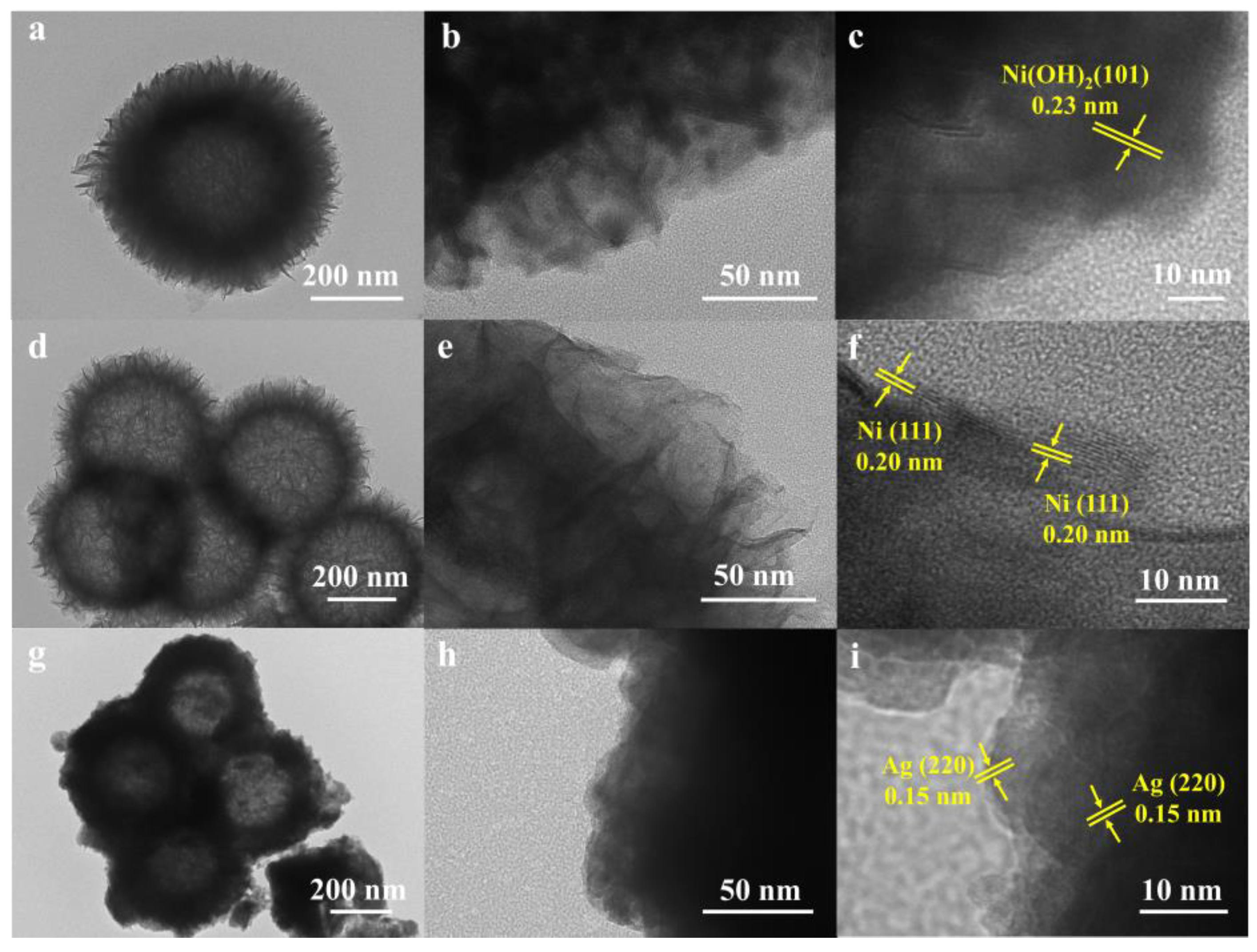 Molecules 29 04384 g003