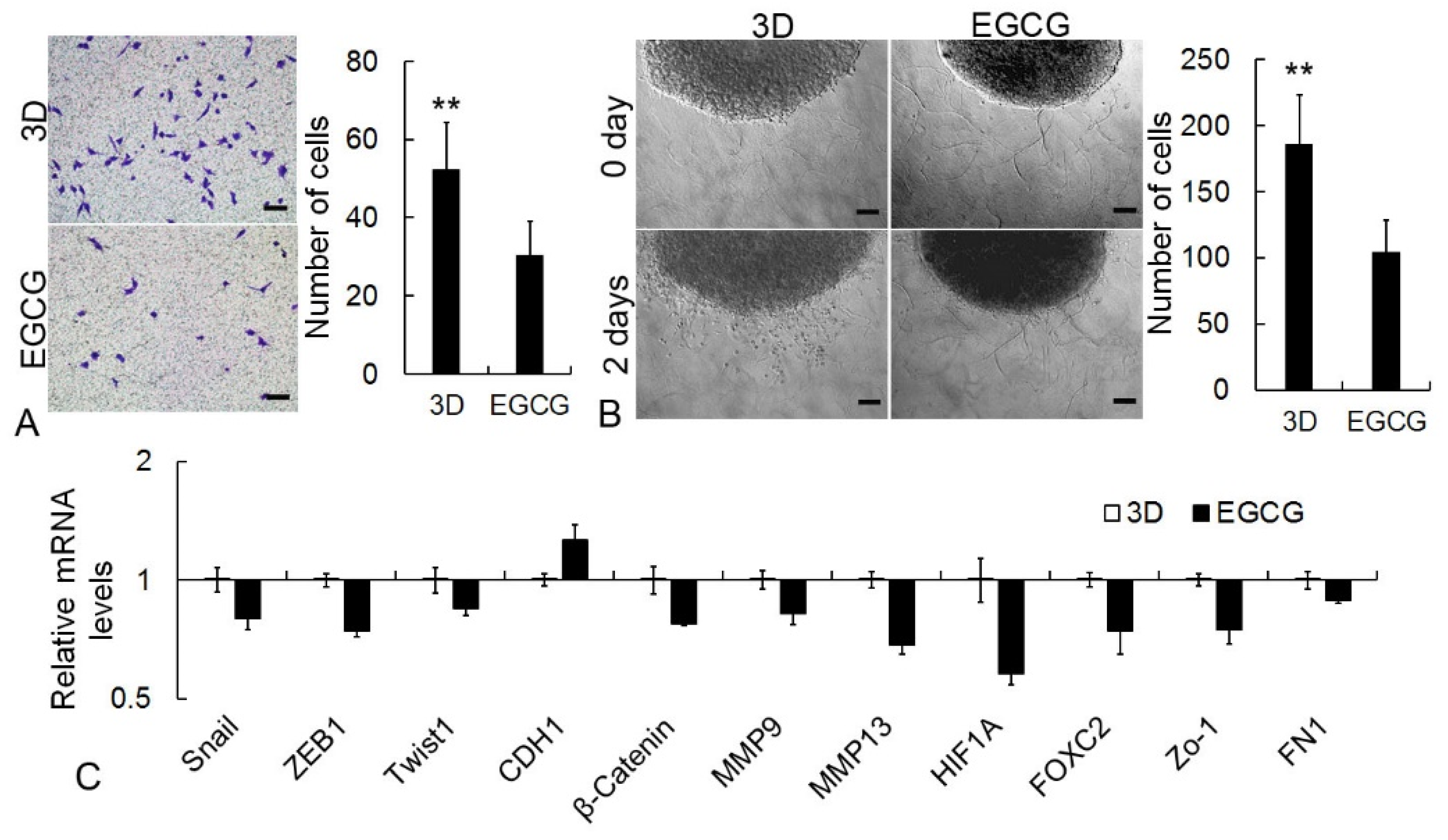 Molecules 29 04385 g007