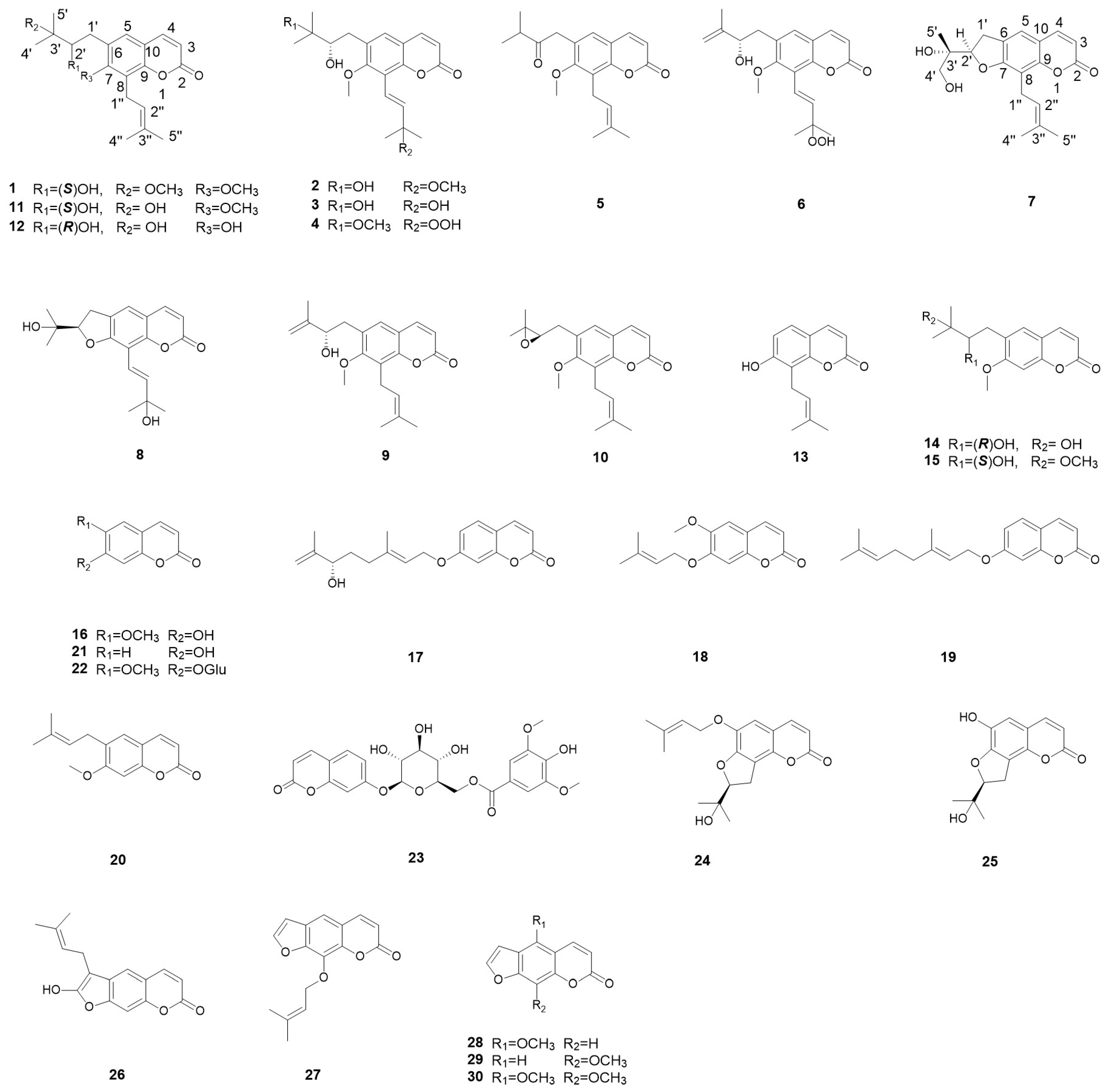 Molecules 29 04395 g001