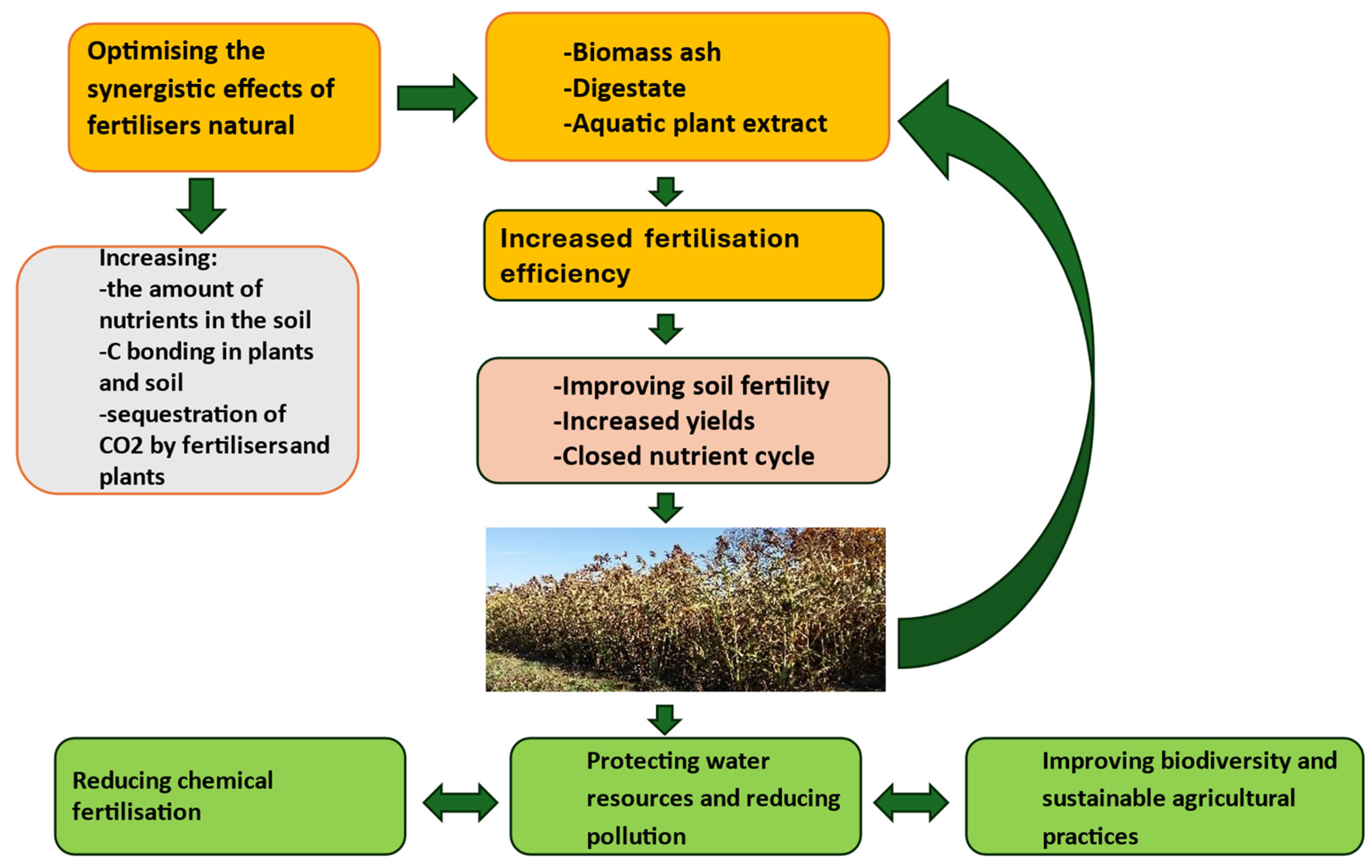 Molecules 29 04397 g005