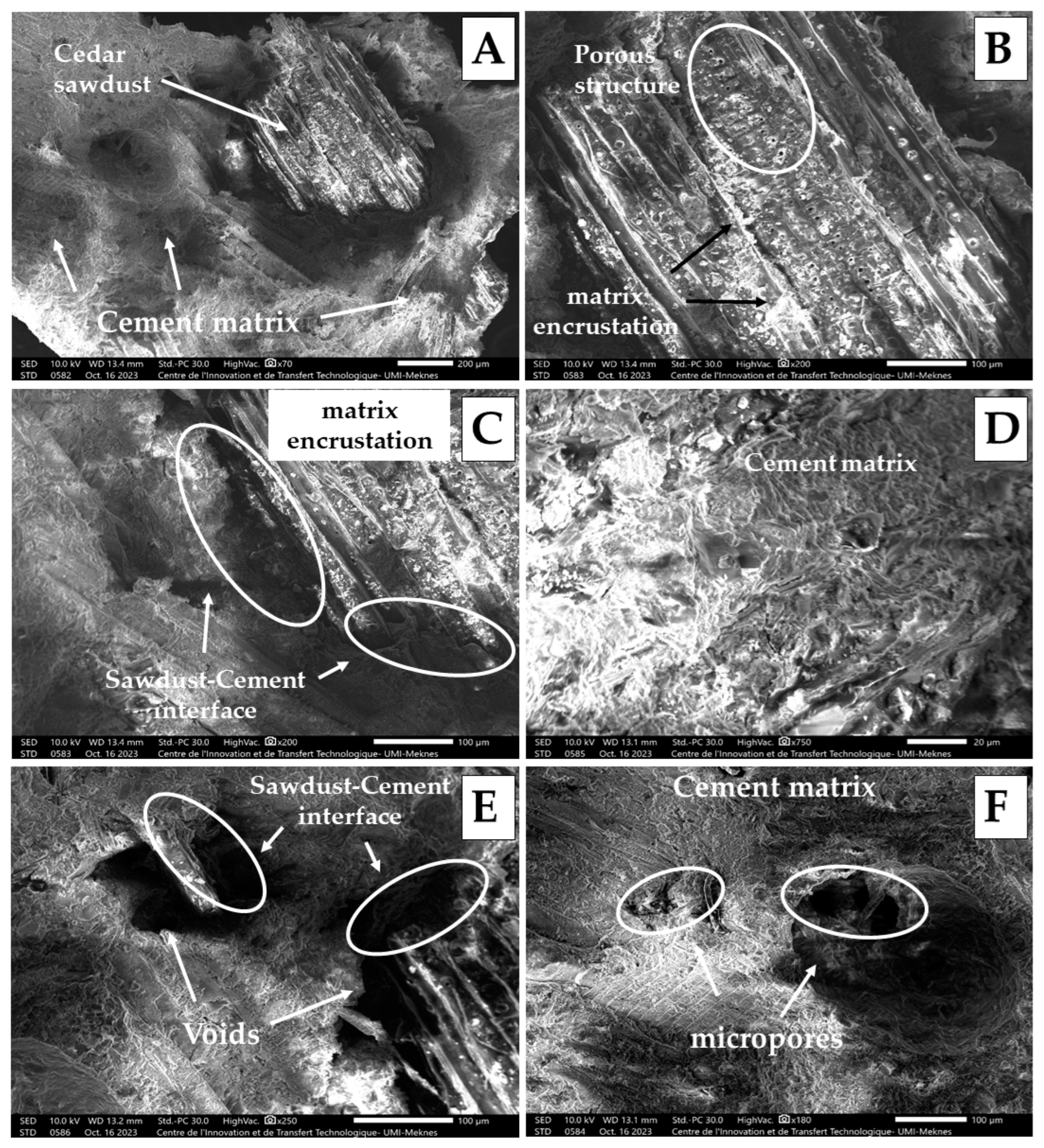 Molecules 29 04399 g004