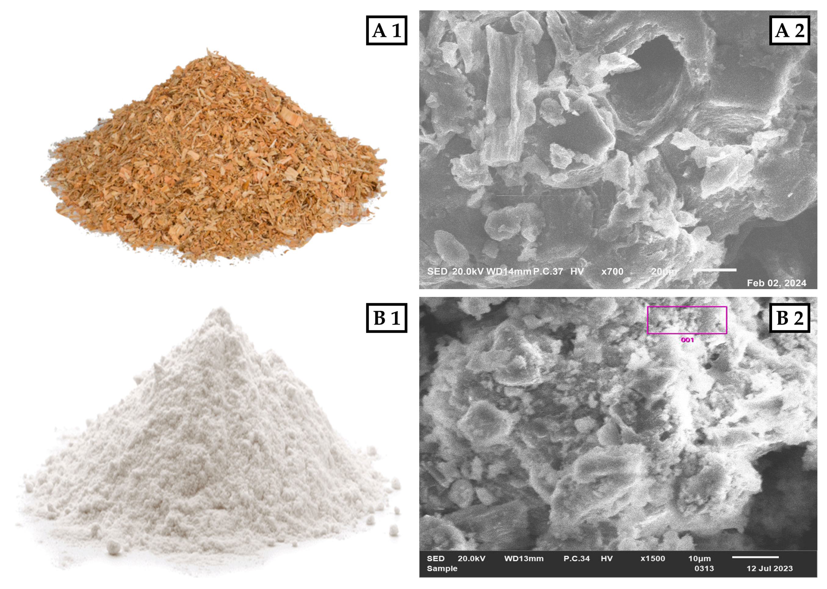 Molecules 29 04399 g008