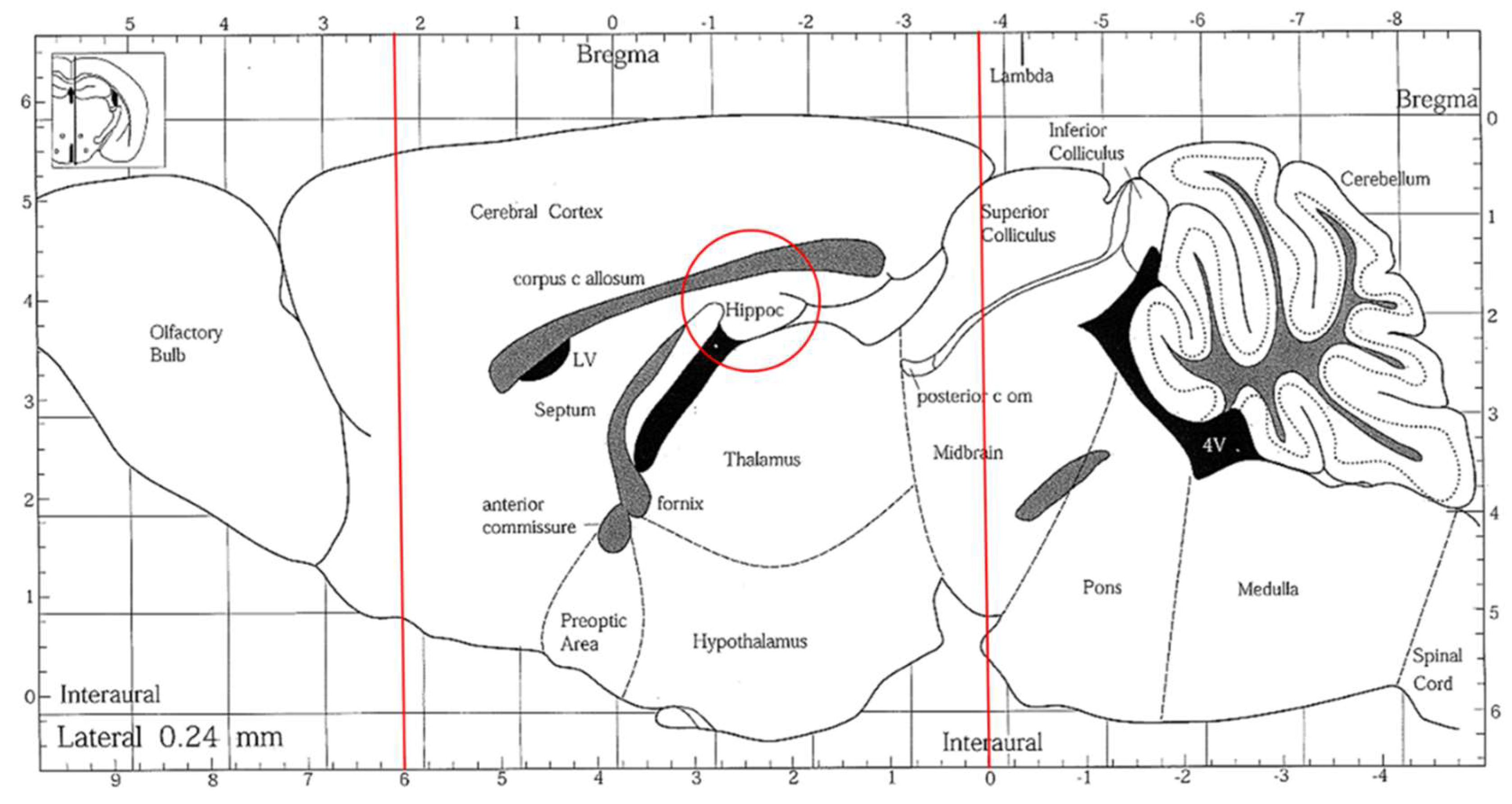 Molecules 29 04402 g007