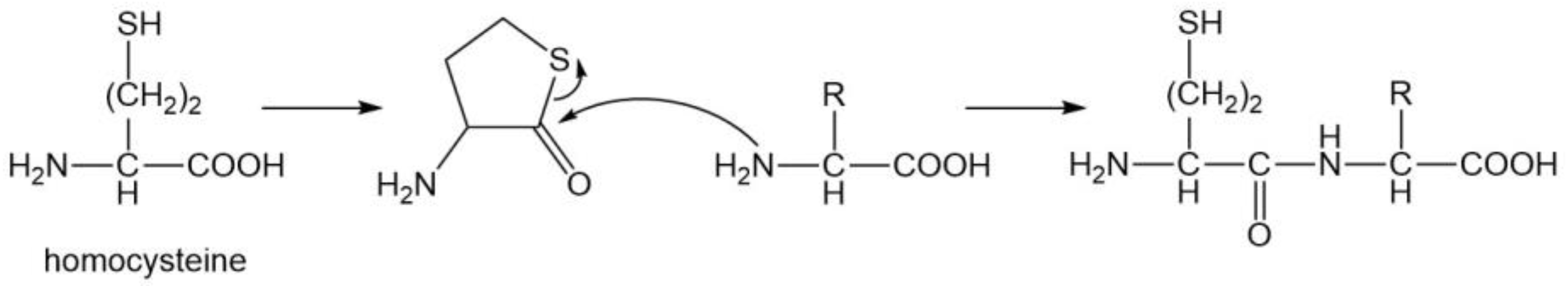 Molecules 29 04403 sch010