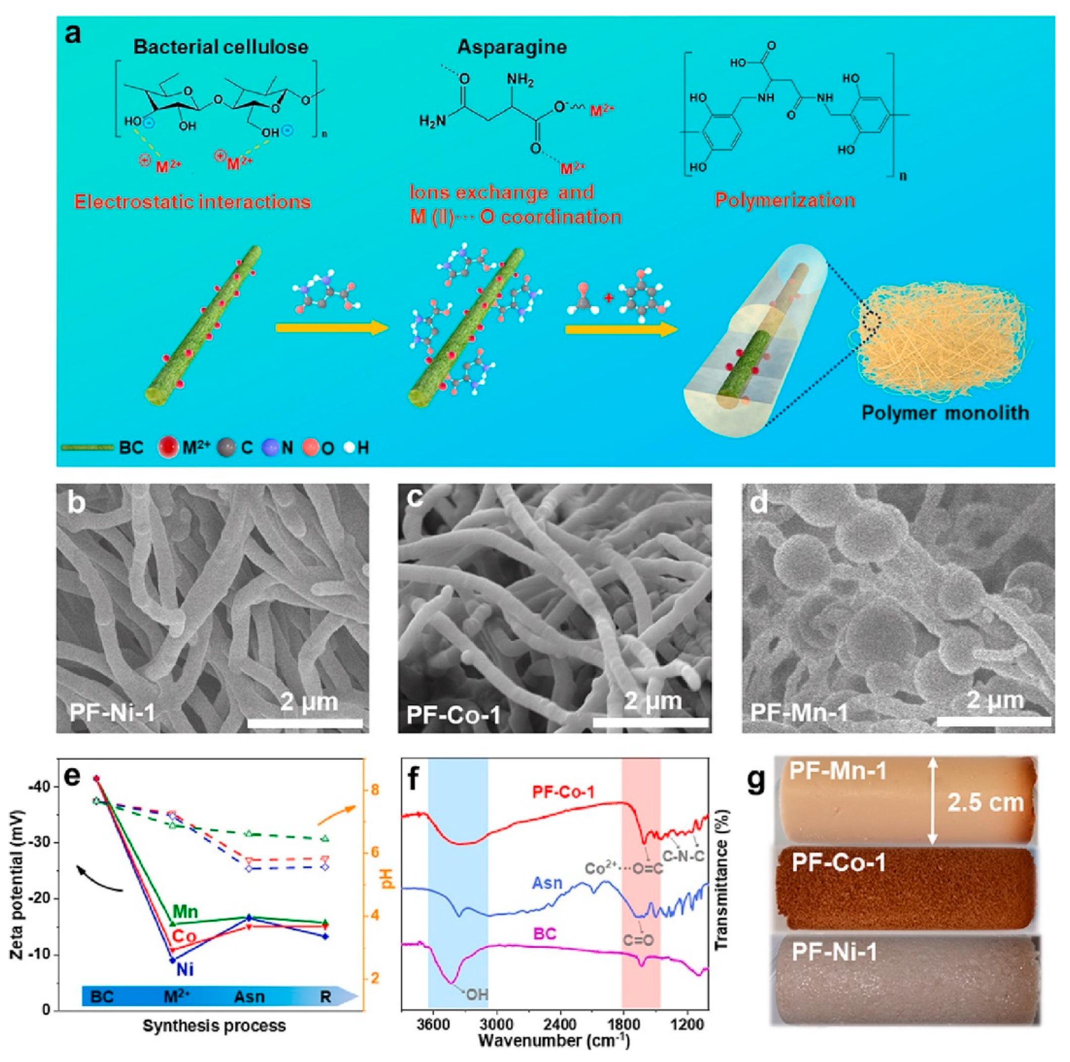 Molecules 29 04404 g006 Molecules 29 04404 g006