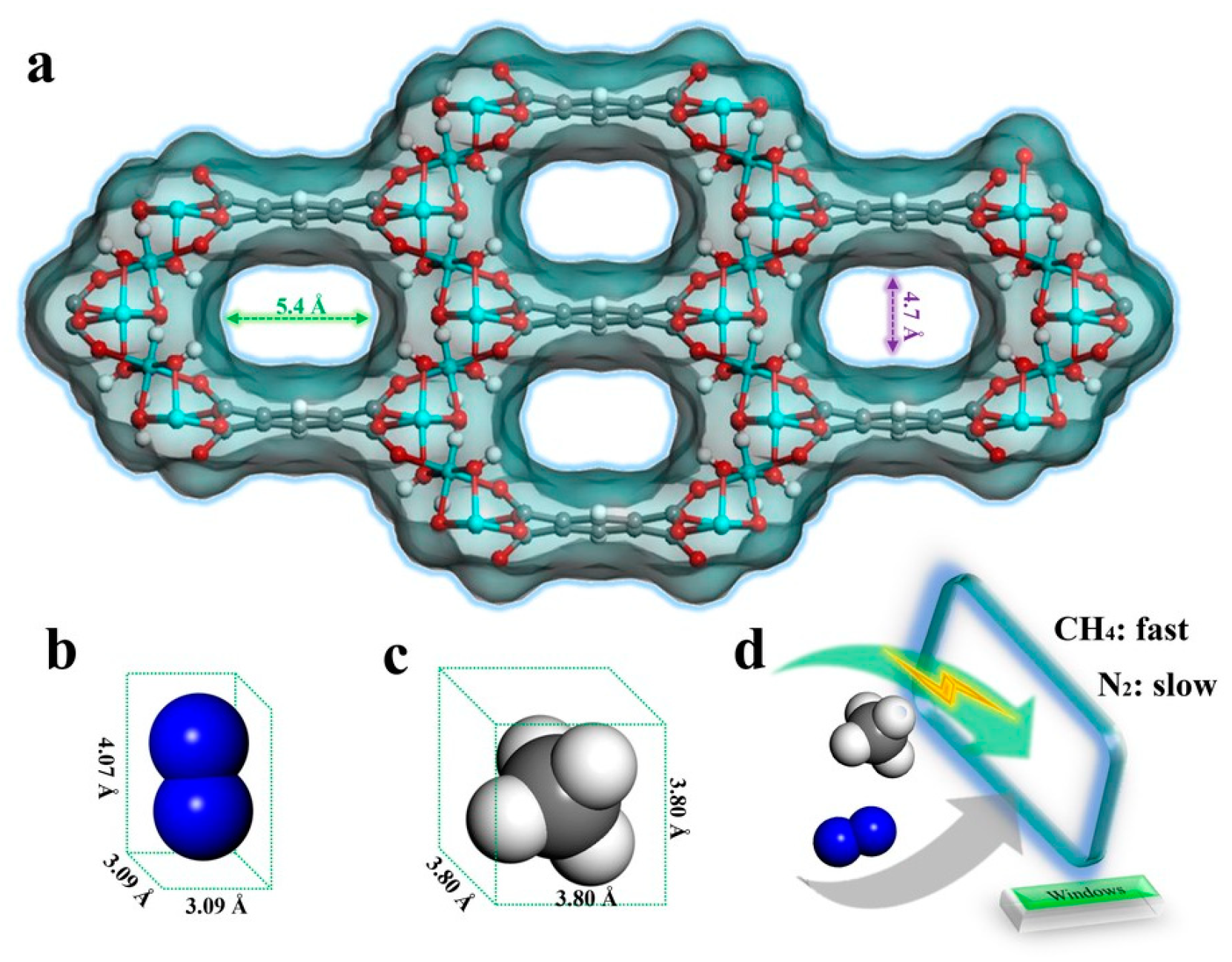 Molecules 29 04404 g010 Molecules 29 04404 g010