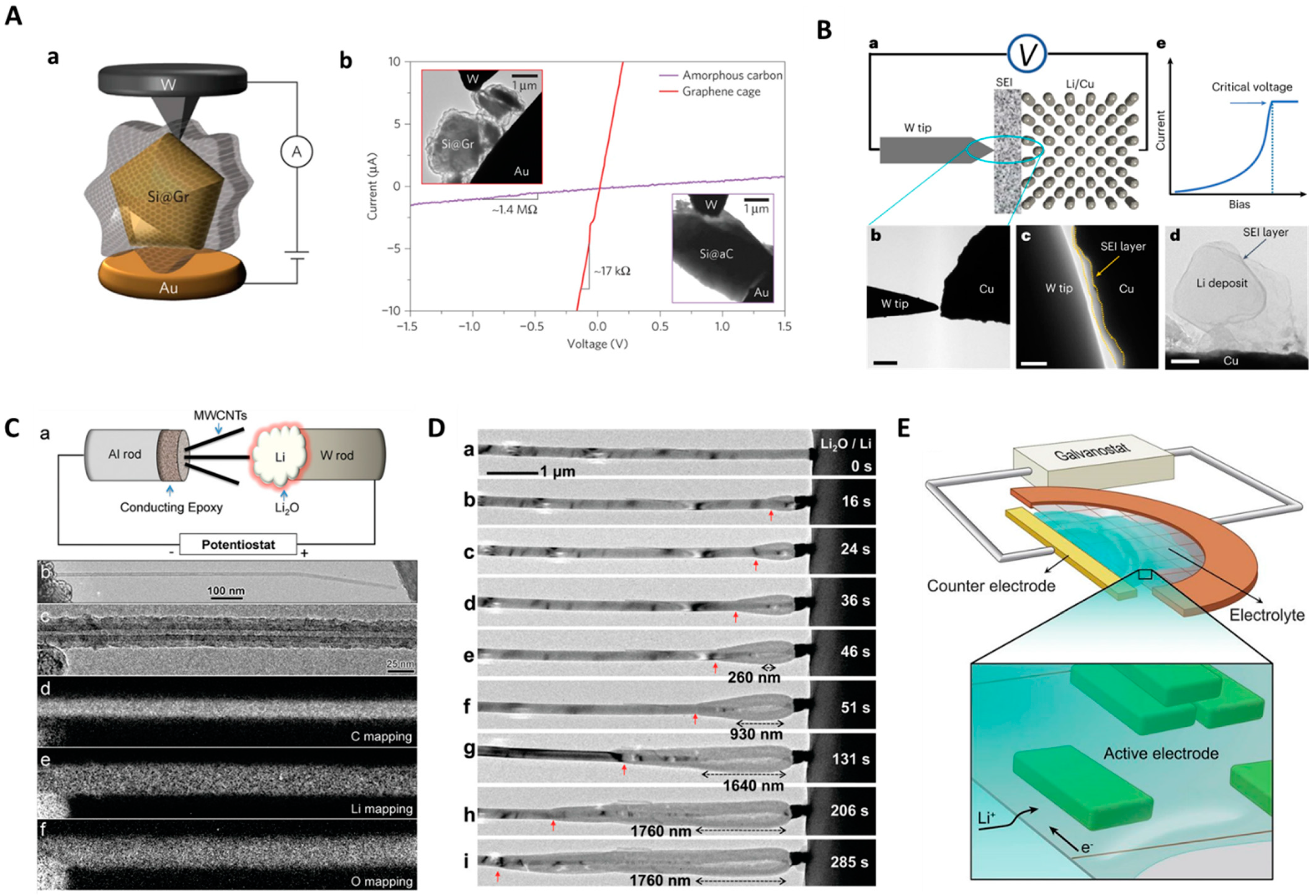 Molecules 29 04411 g001