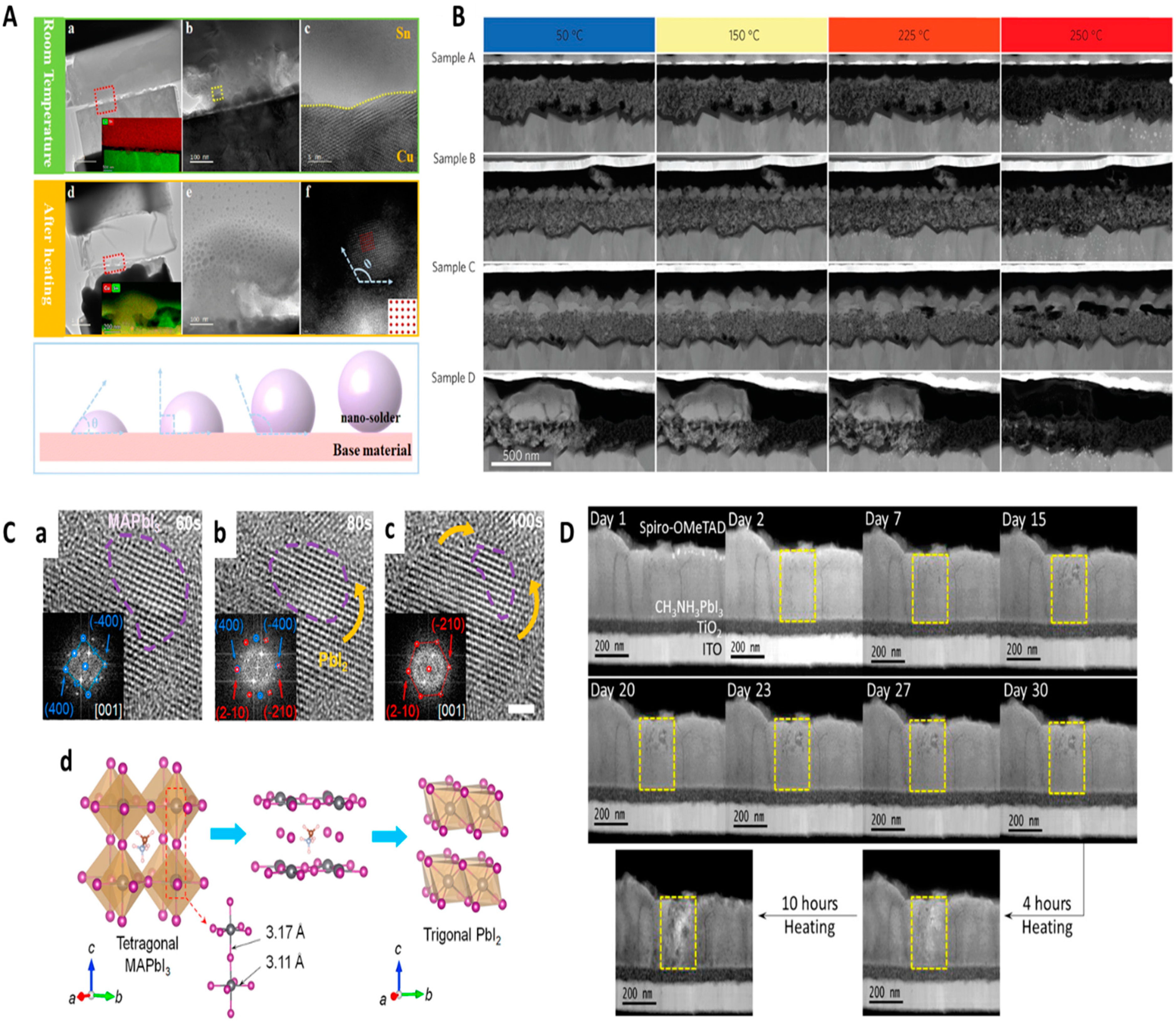 Molecules 29 04411 g002