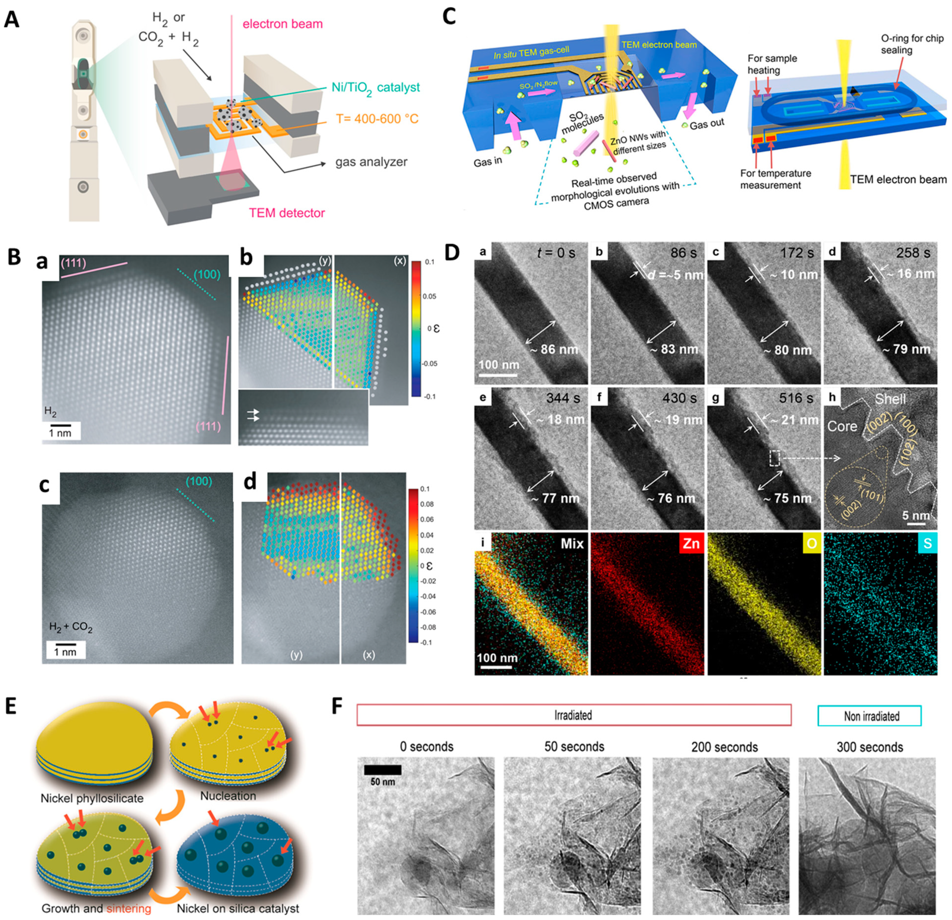 Molecules 29 04411 g003