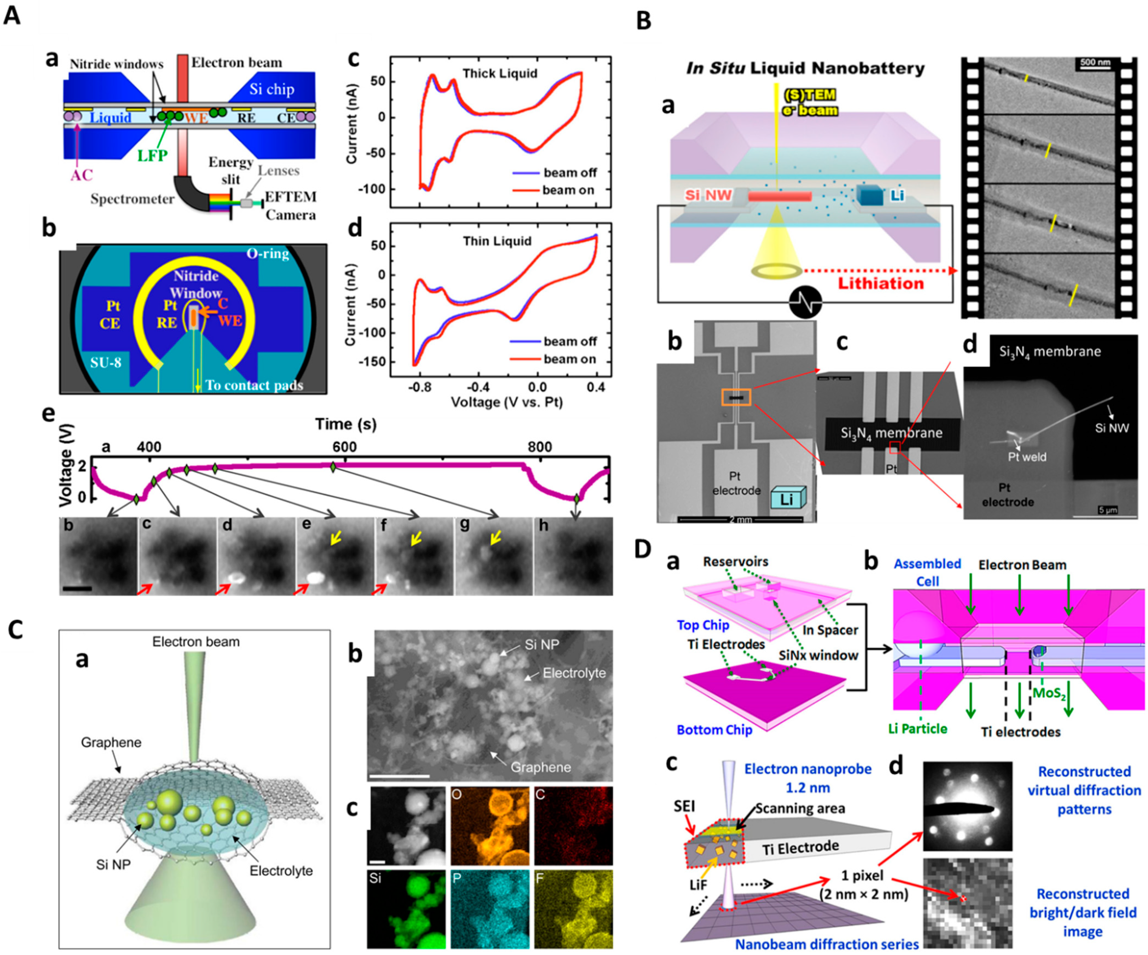 Molecules 29 04411 g004
