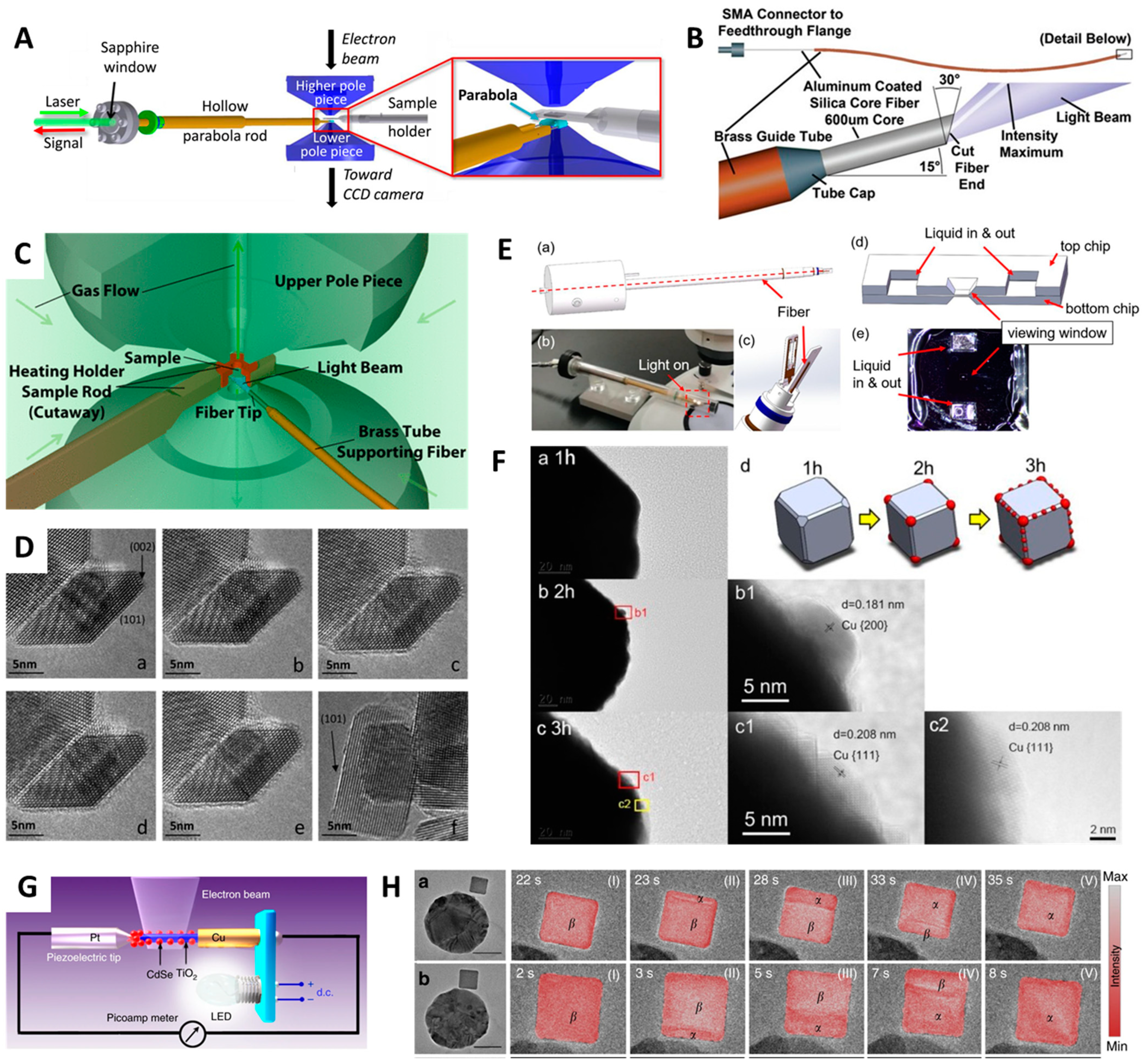 Molecules 29 04411 g005