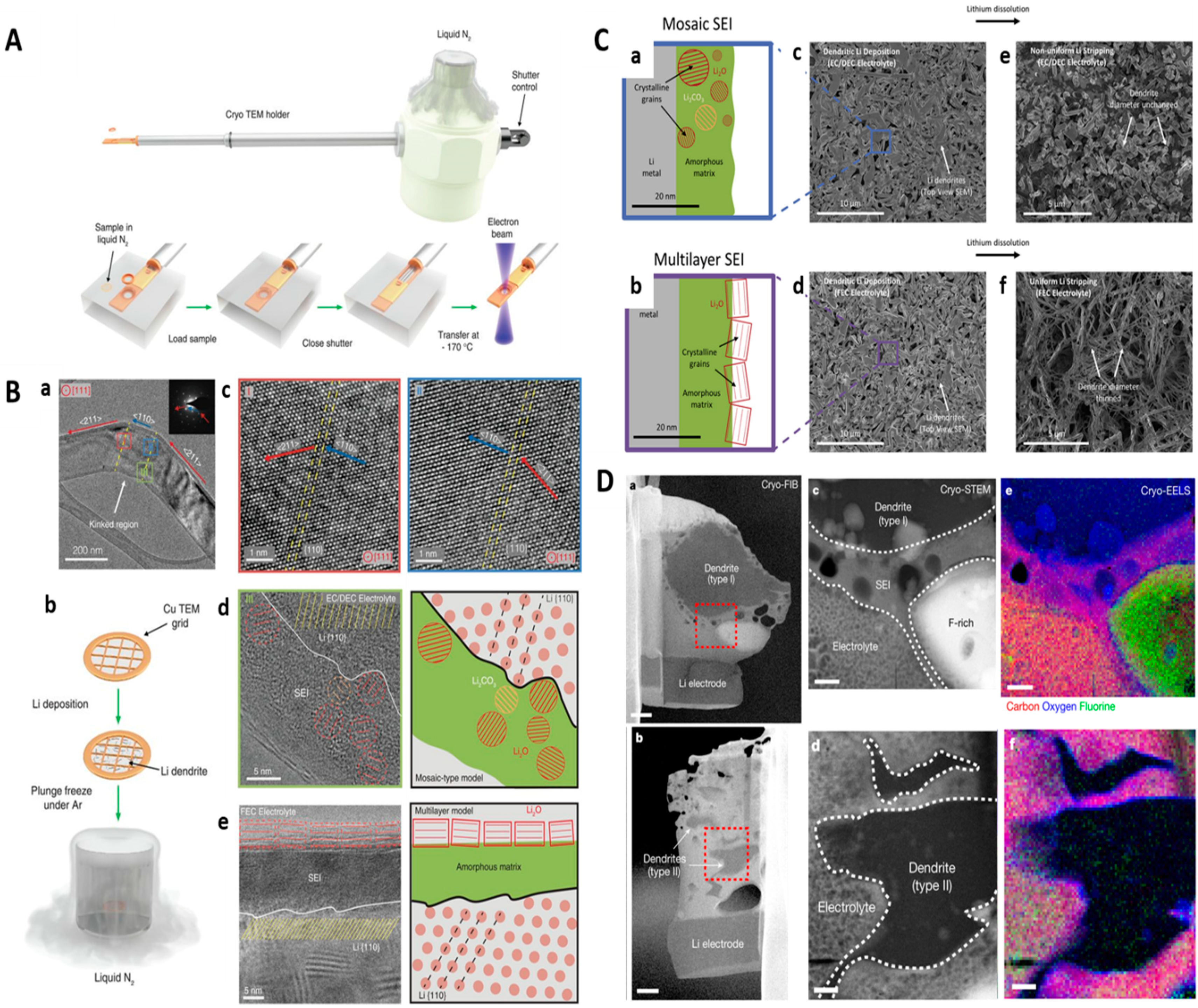 Molecules 29 04411 g007