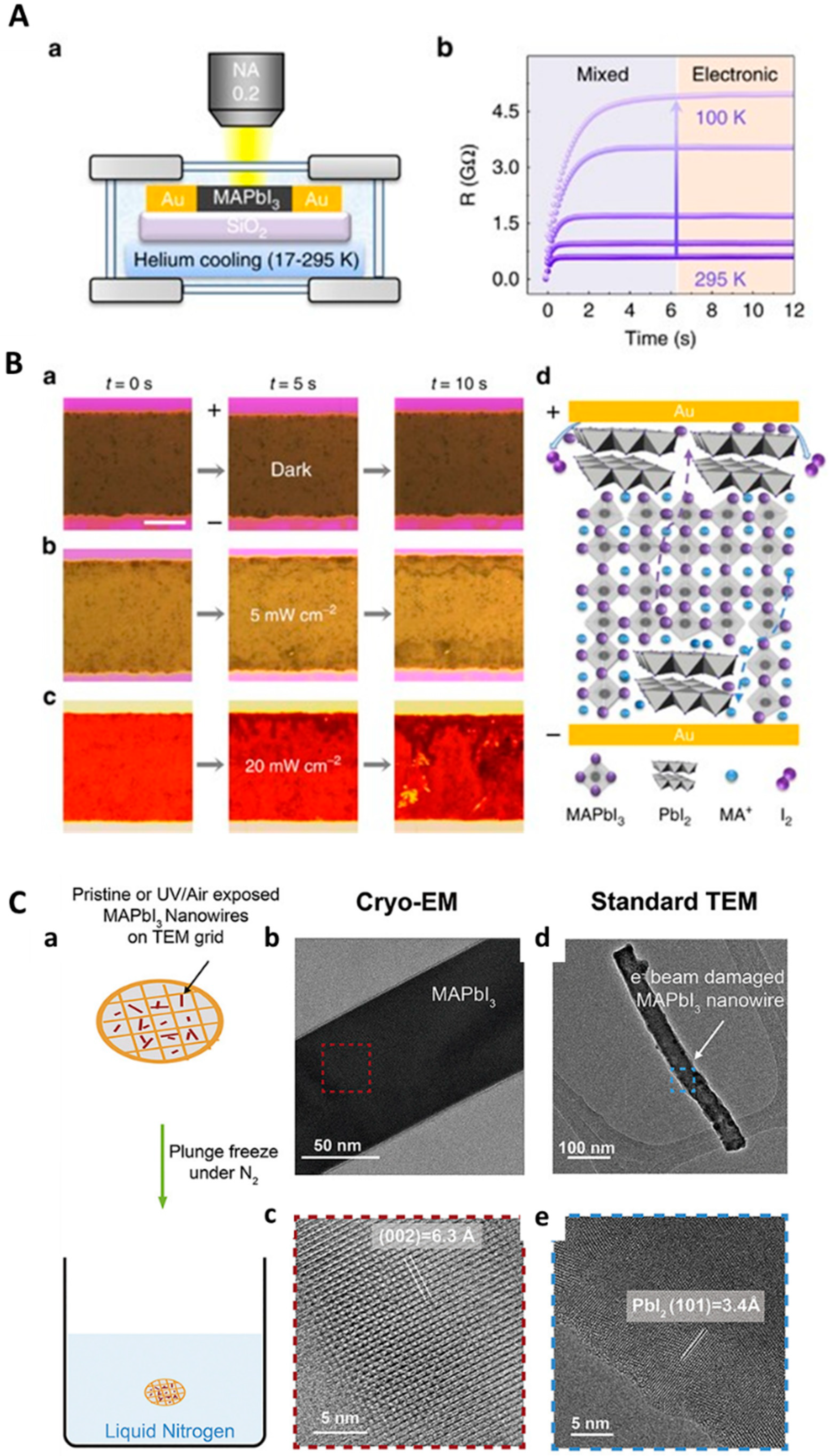 Molecules 29 04411 g008