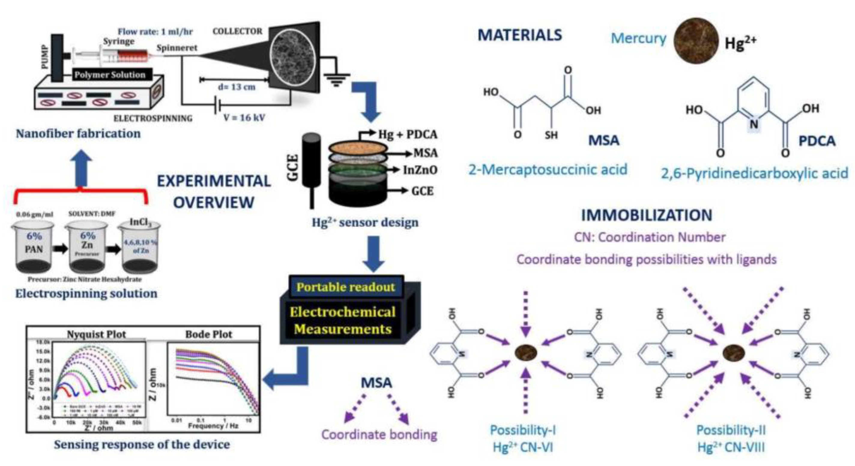 Molecules 29 04412 g005