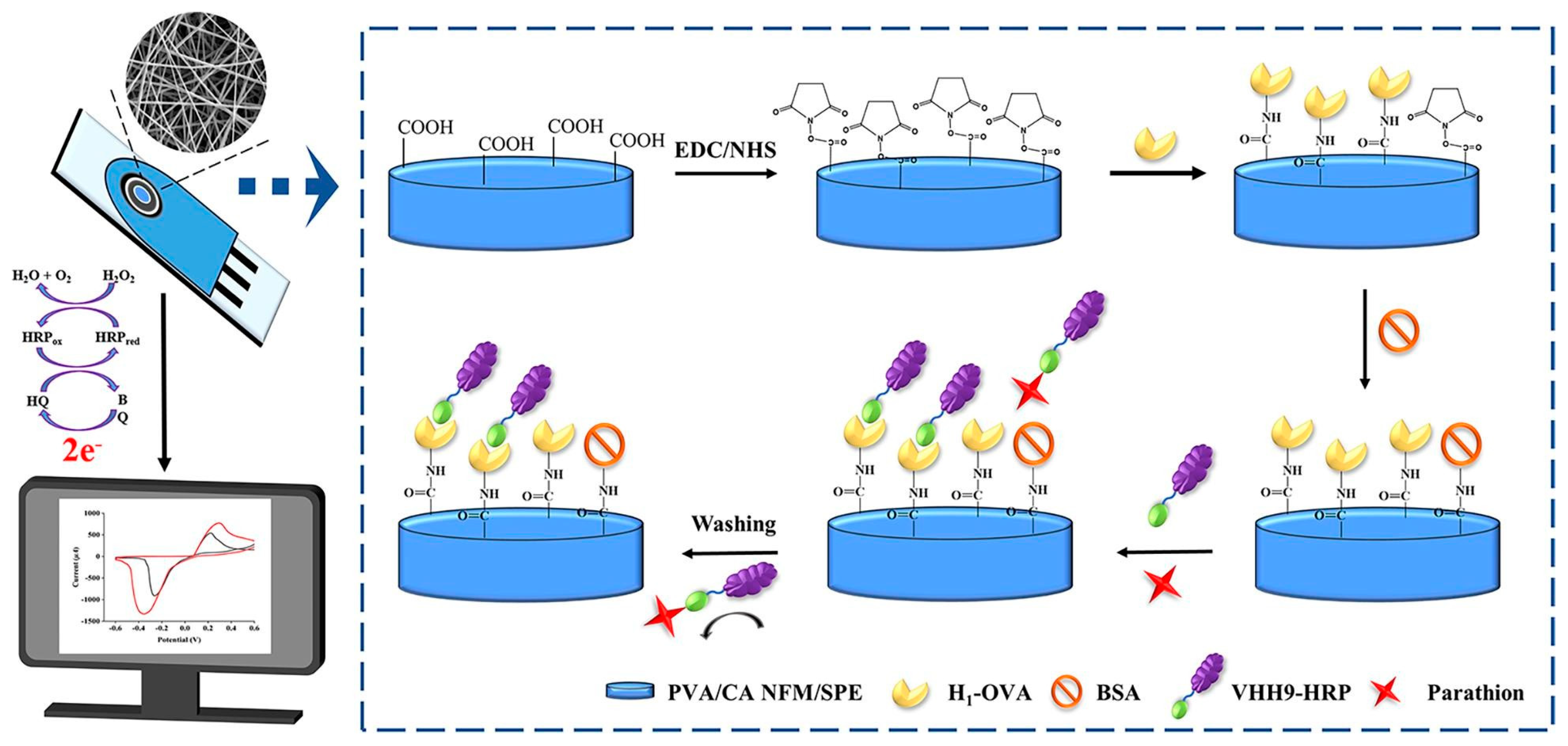 Molecules 29 04412 g007