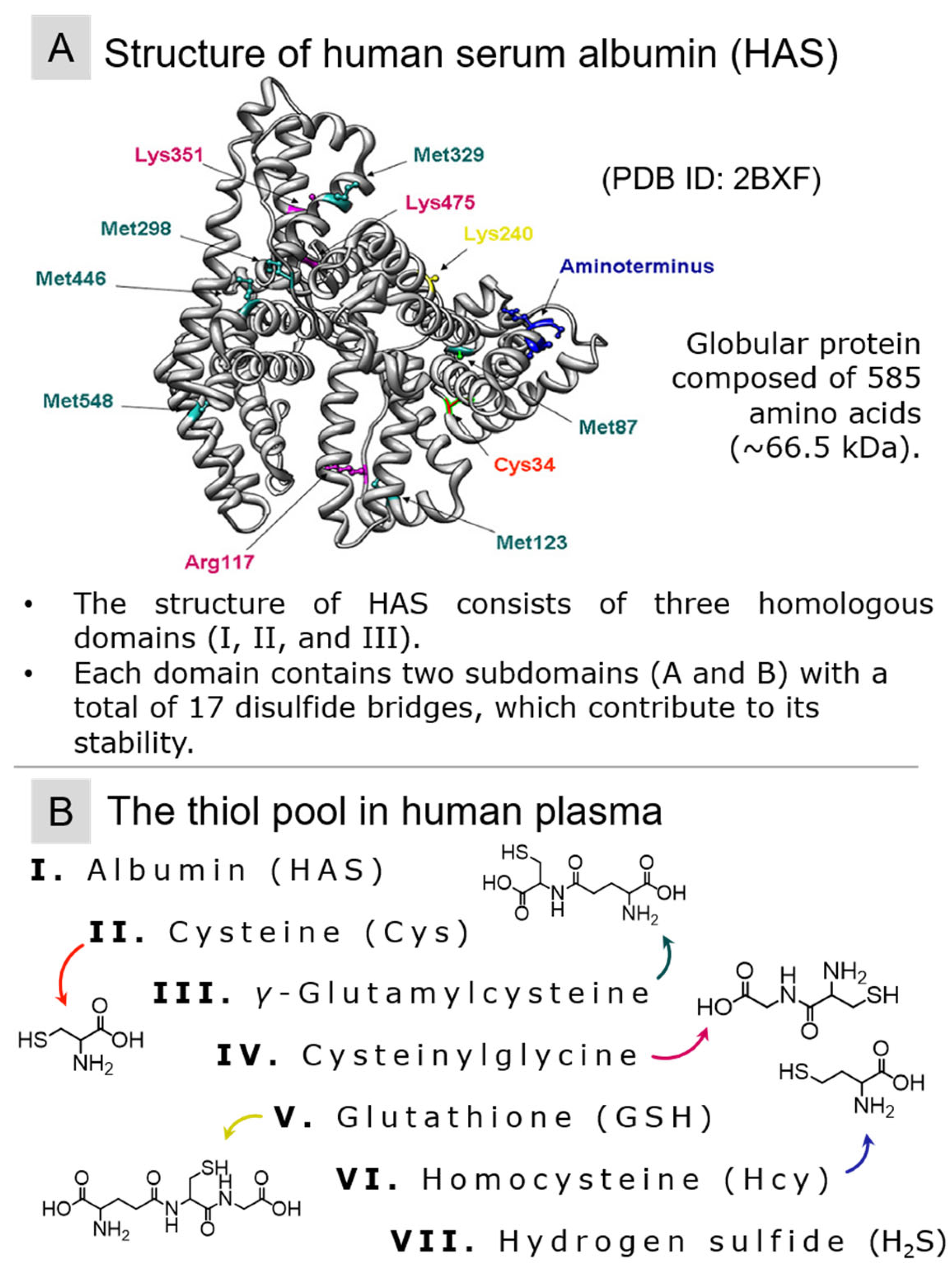 Molecules 29 04433 g002 Molecules 29 04433 g002
