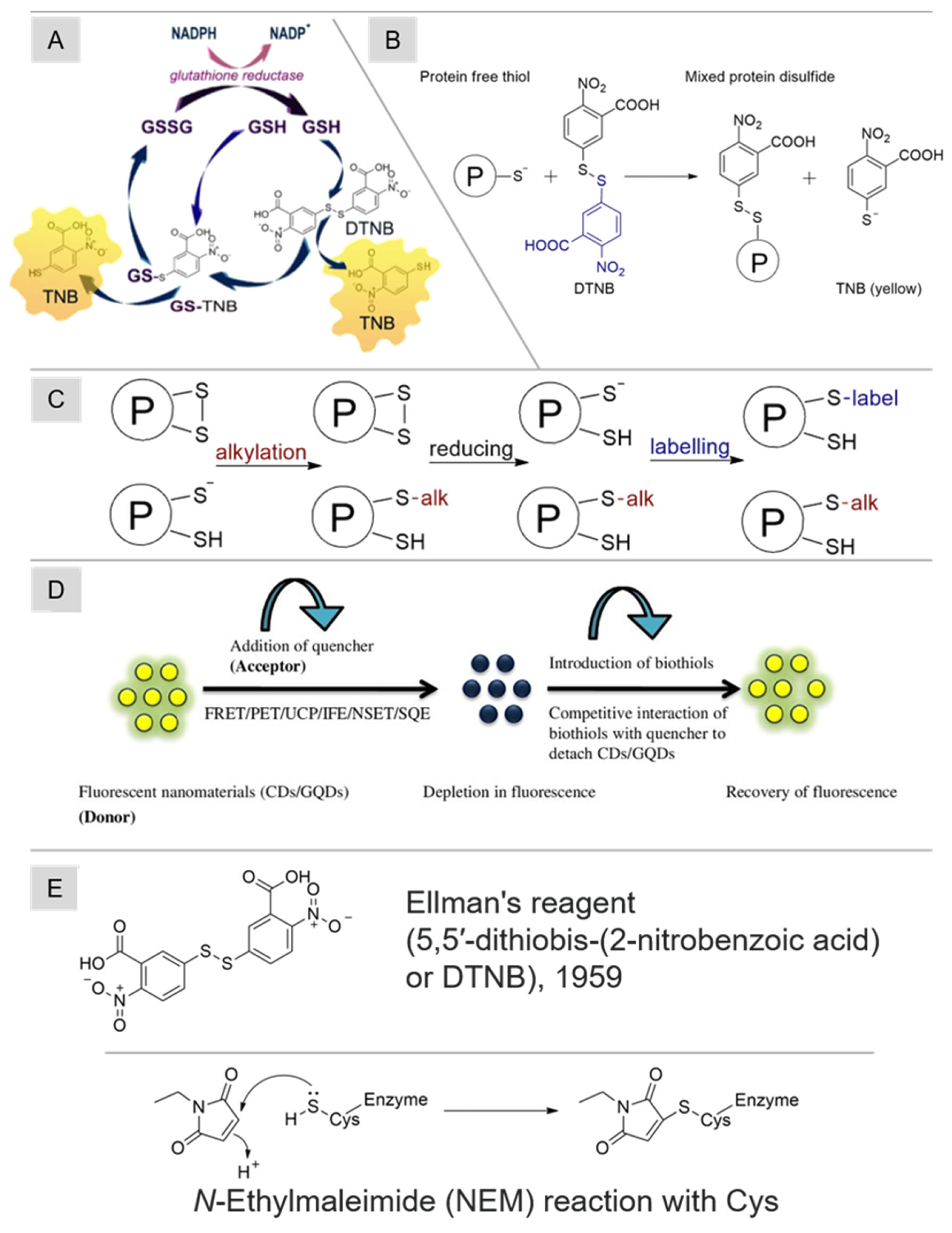 Molecules 29 04433 g004 Molecules 29 04433 g004