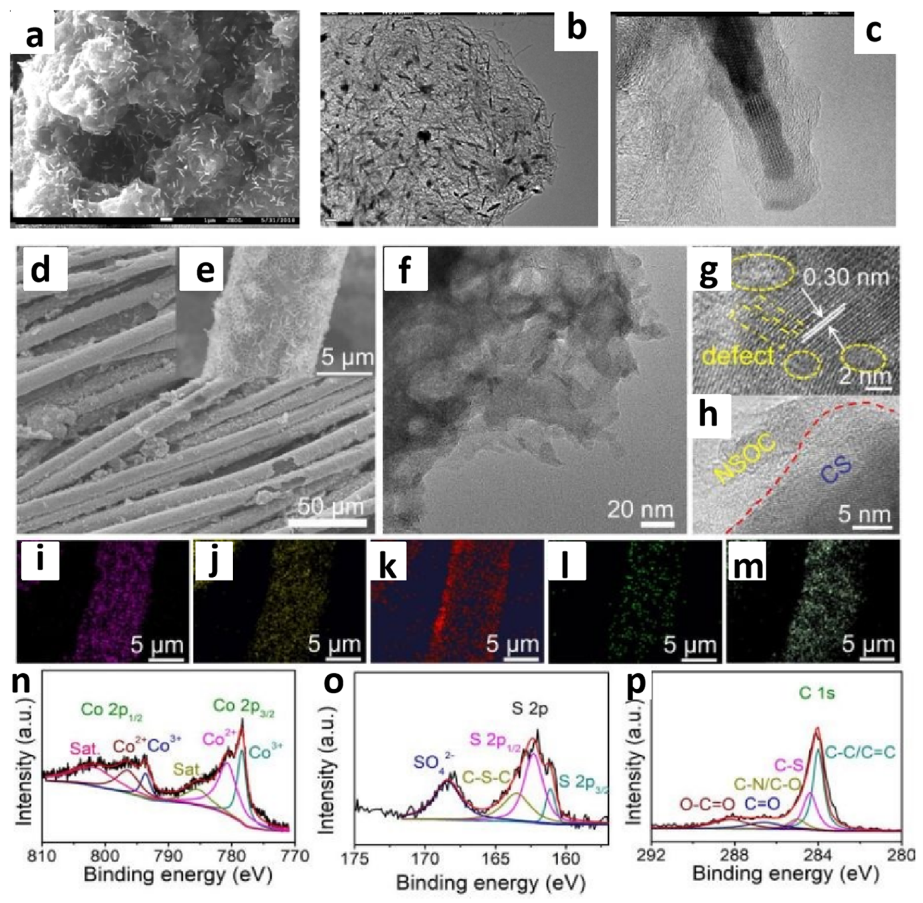 Molecules 29 04435 g002