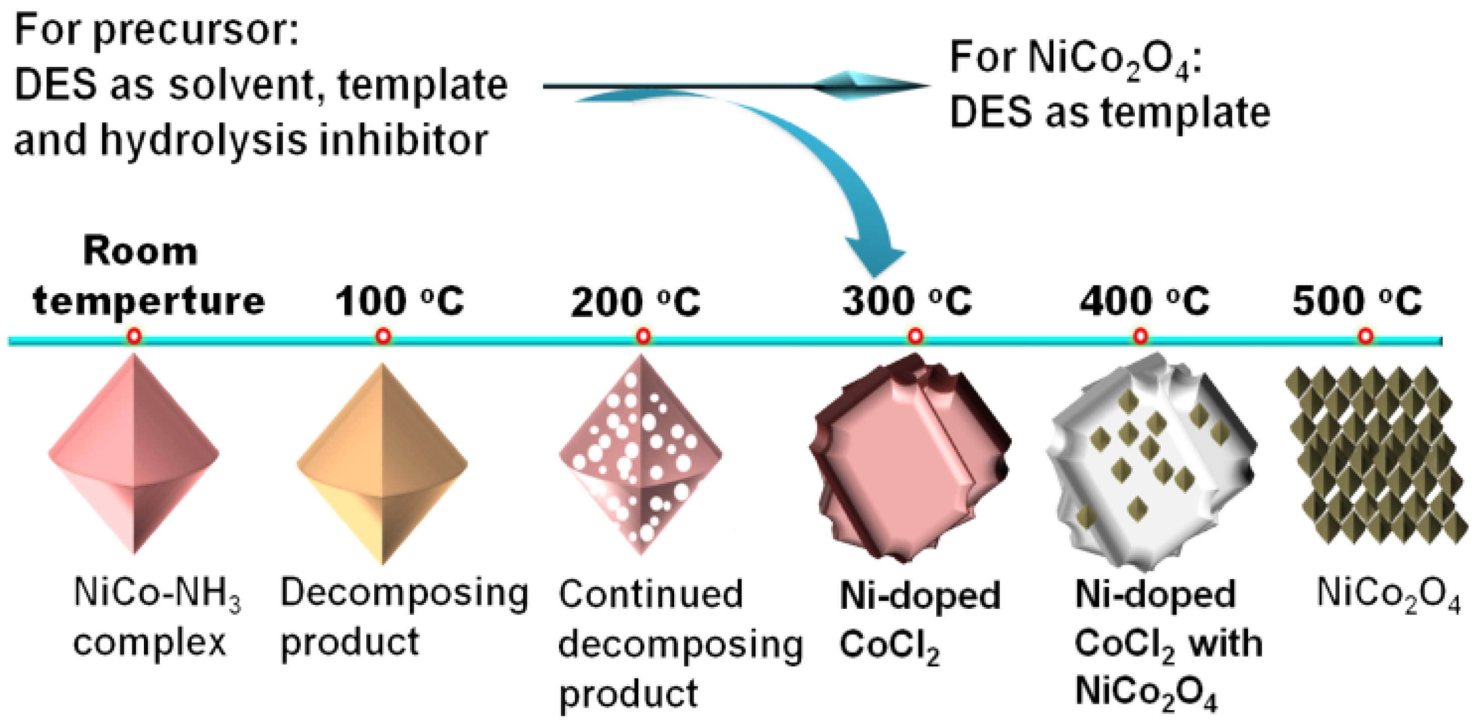 Molecules 29 04435 g004