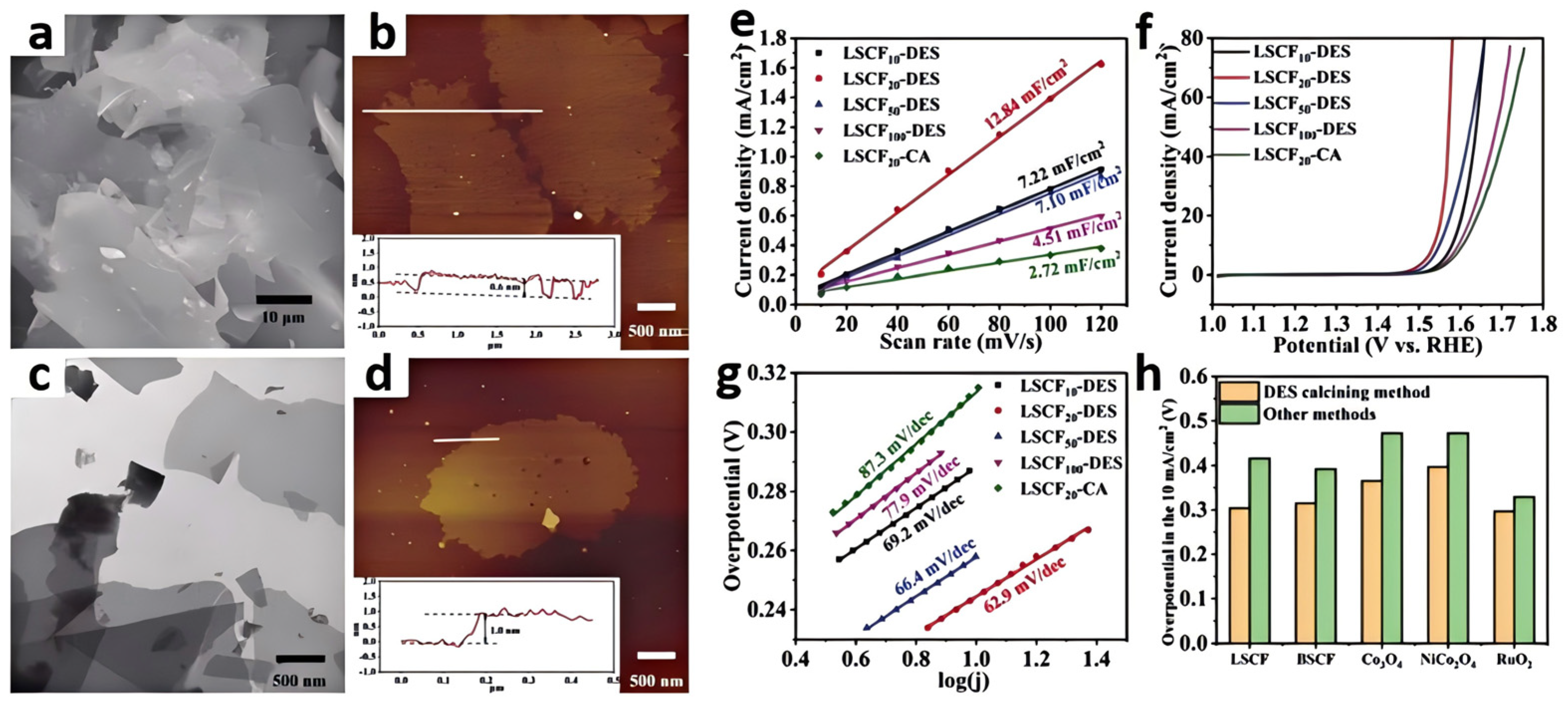 Molecules 29 04435 g005