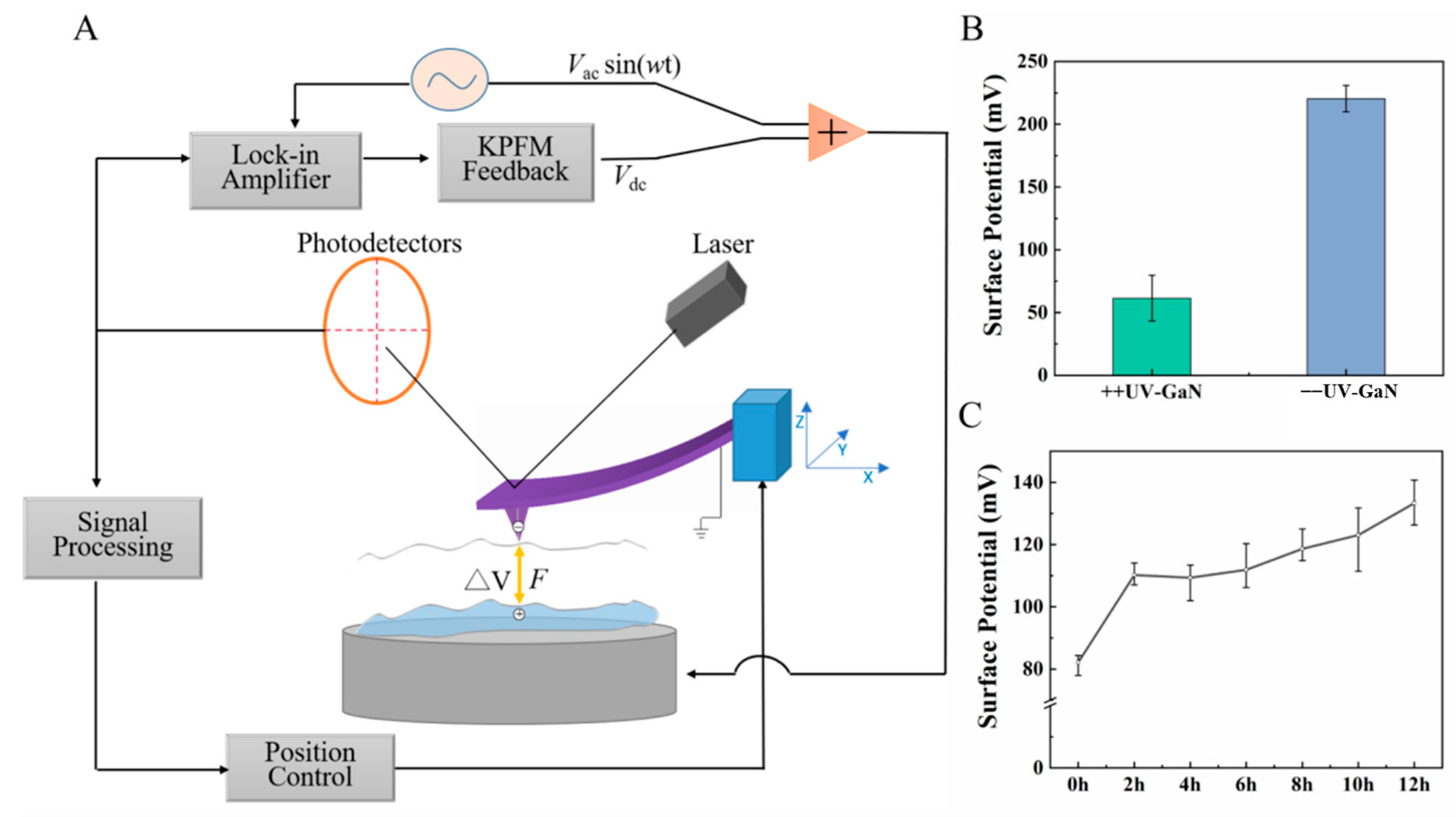 Molecules 29 04439 g001 Molecules 29 04439 g001