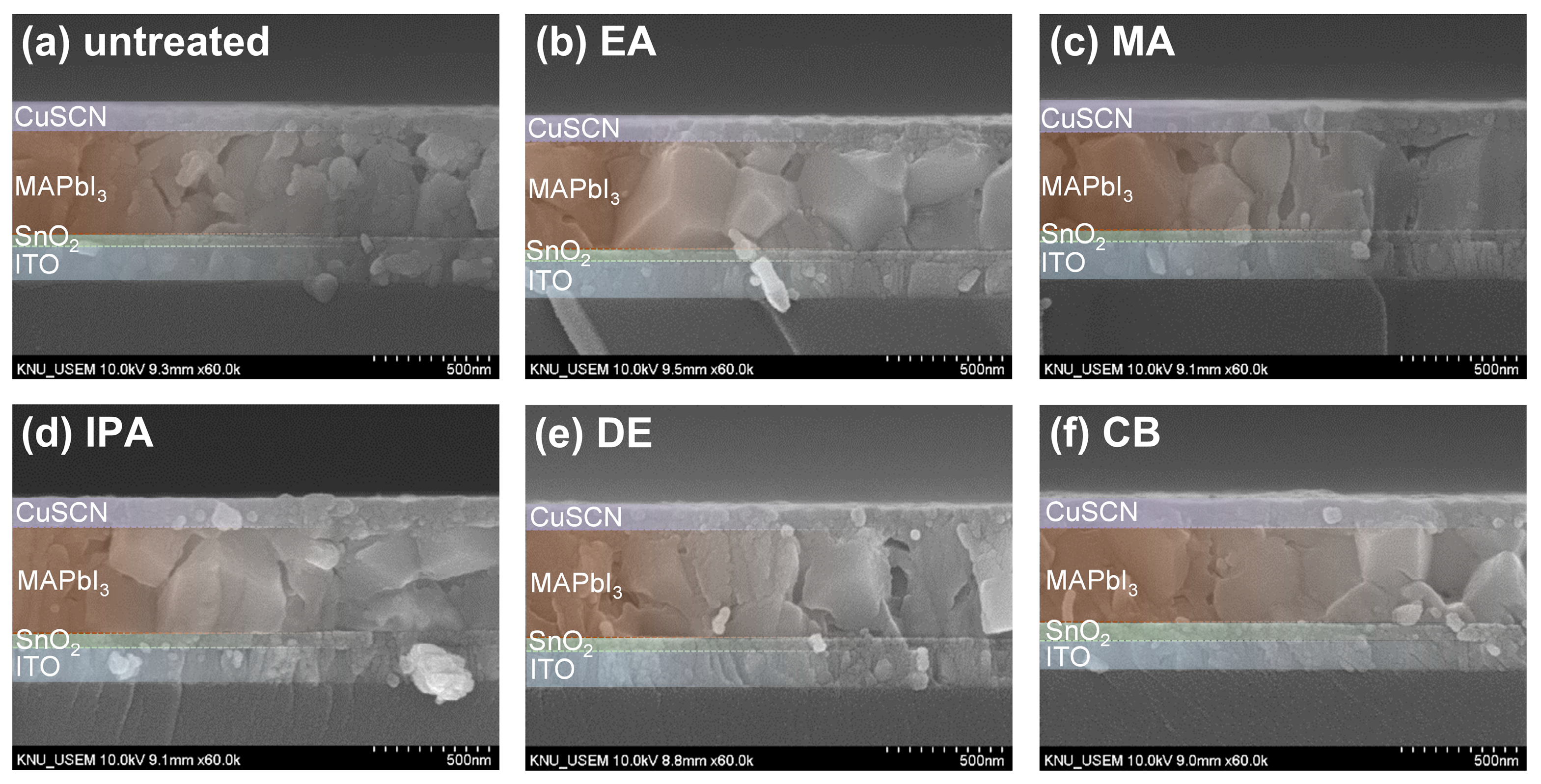 Molecules 29 04440 g003