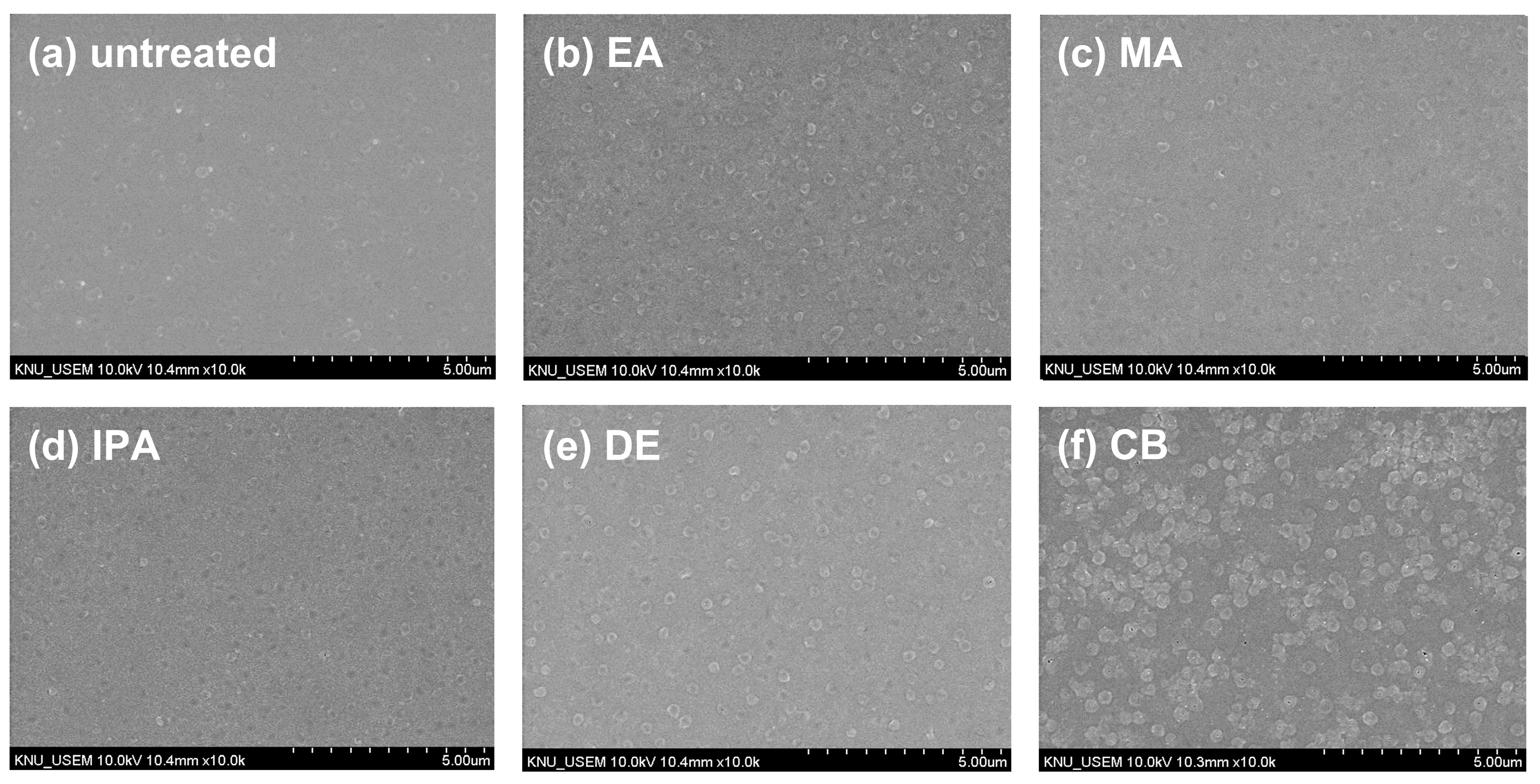 Molecules 29 04440 g005